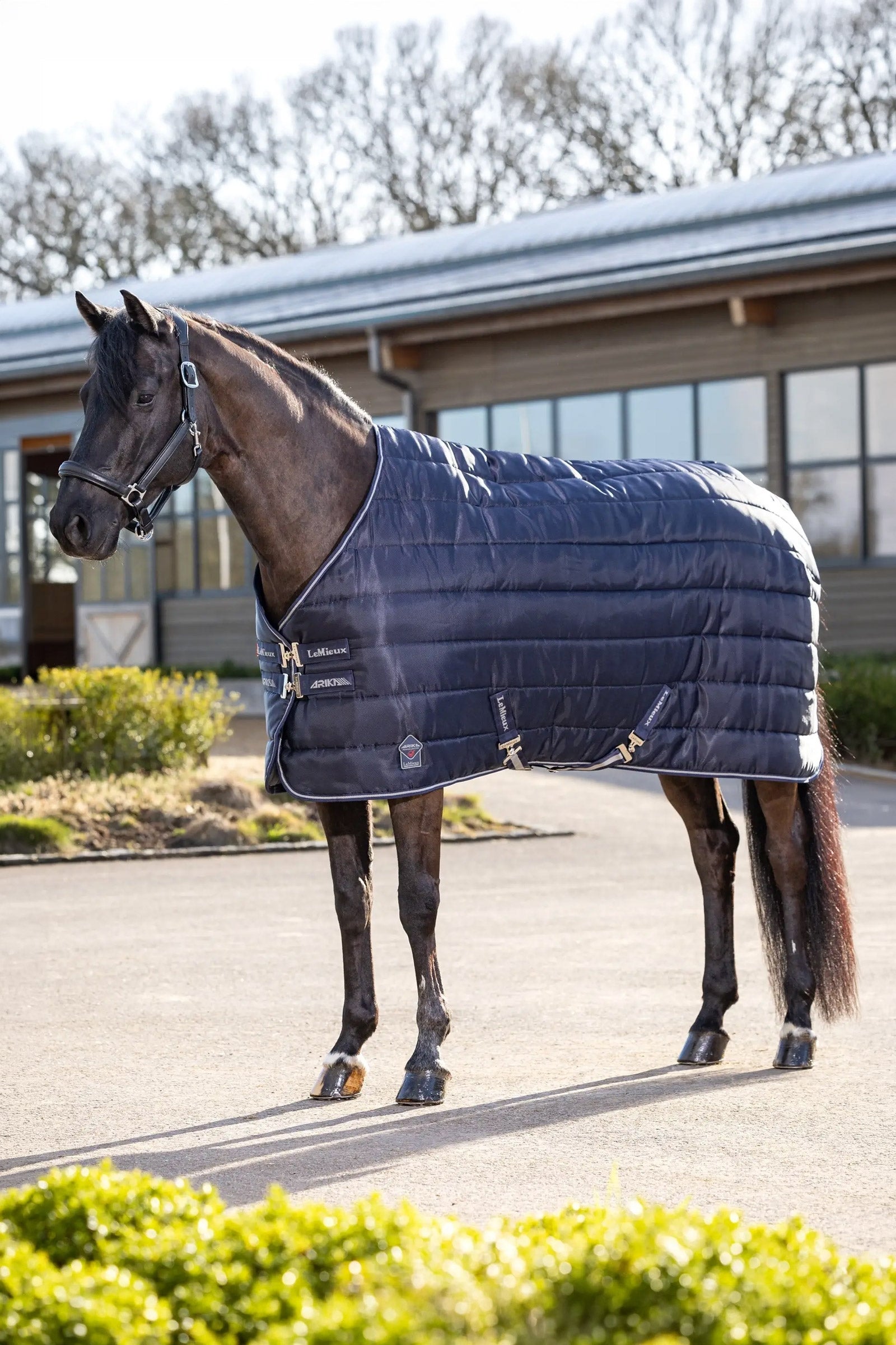 LeMieux Arika Stable-Tek Stable Rug, 350 g Lótakarók