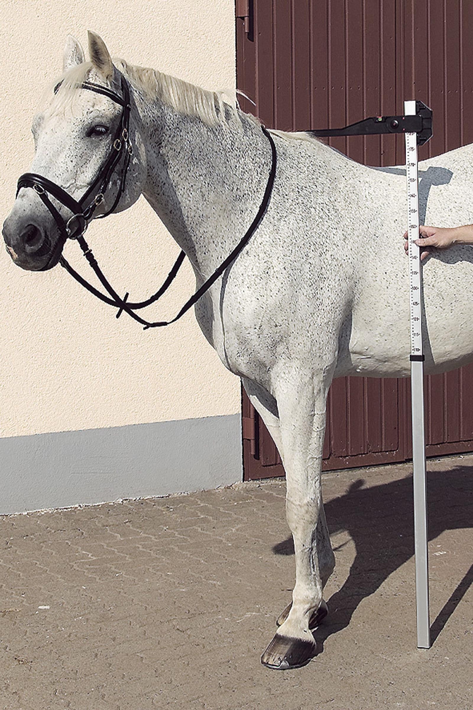 USG DLX Aluminium Measuring Pole Istálló Felszerelések