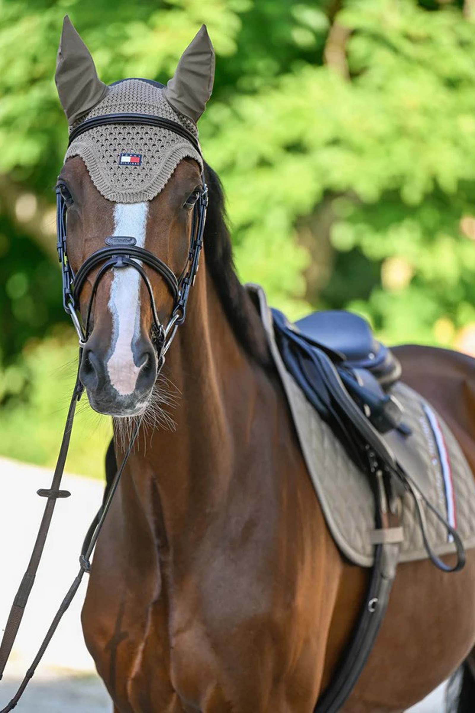Tommy Hilfiger Equestrian Lexington Fly Hood Antifly Protection for Horses