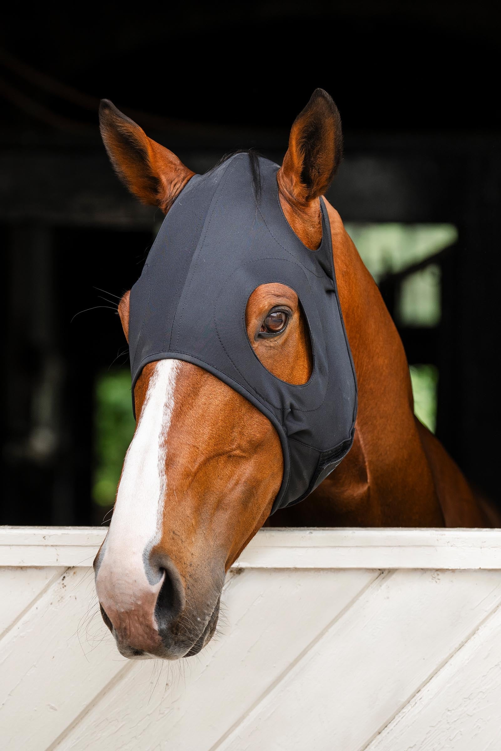 Horseware Ionic nyugtató arcmask Légy Elleni Védelem Lovaknak