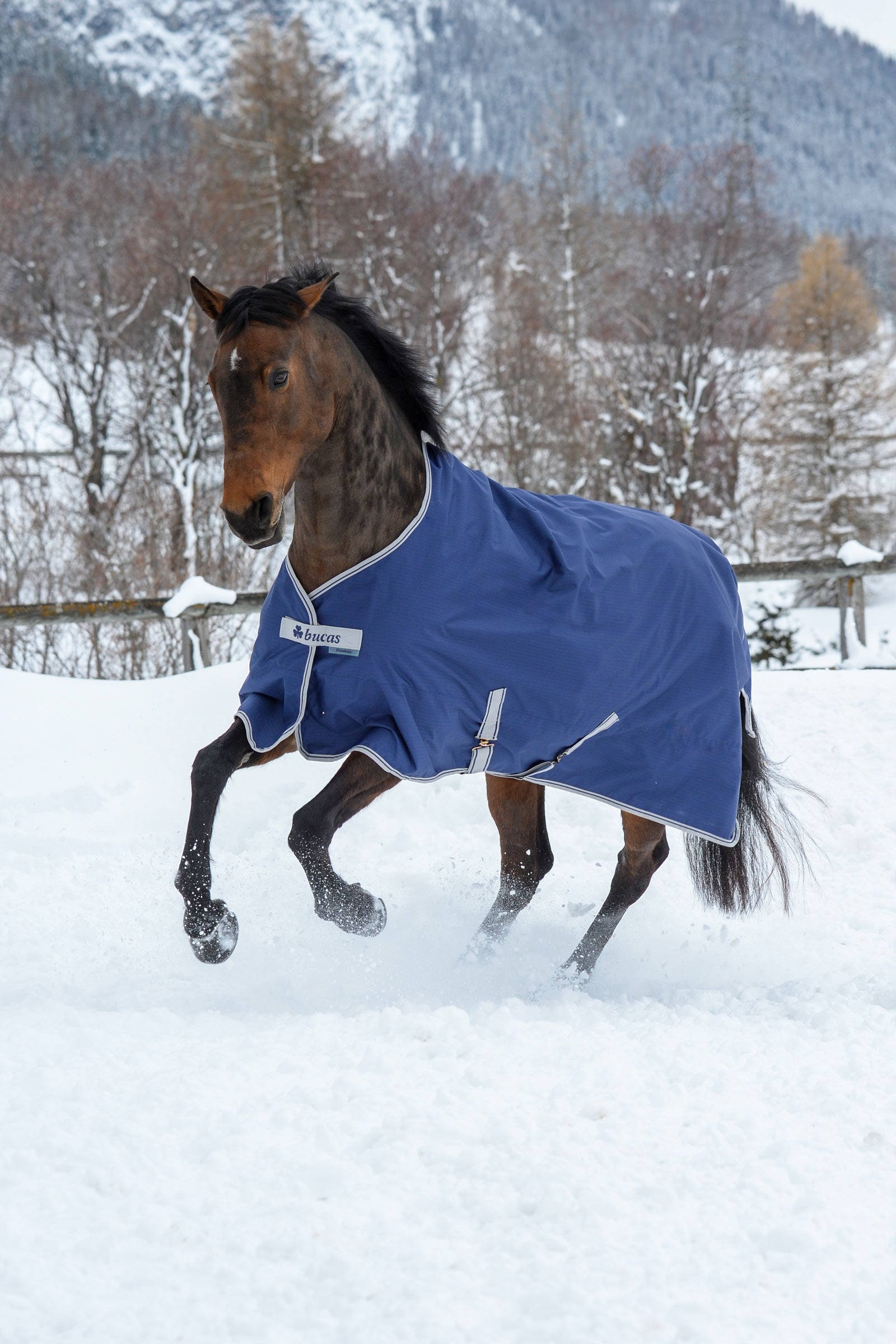 Bucas Freedom Turnout Rug, 150g Horse Rugs