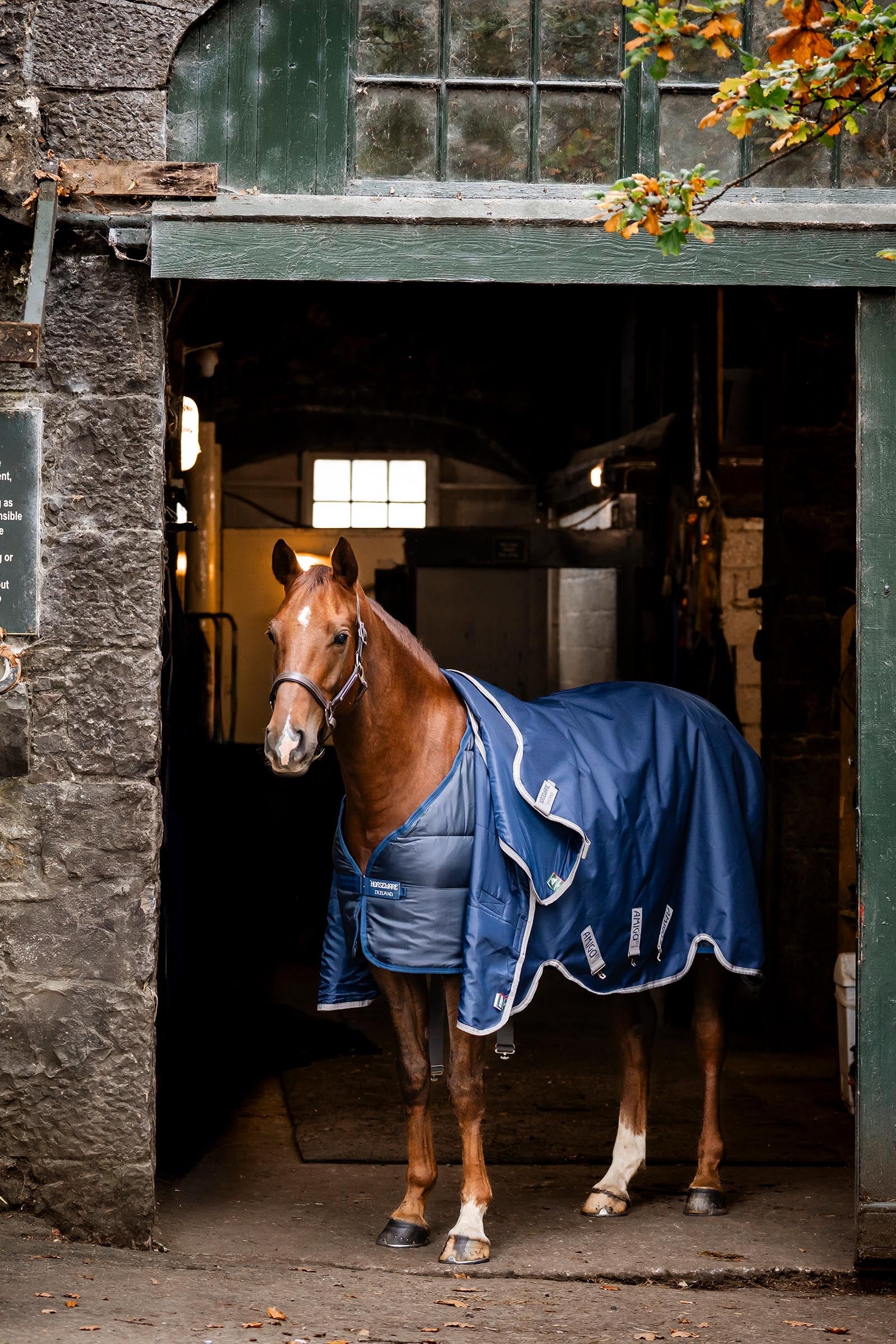 Horseware Liner 400g Horse Rugs
