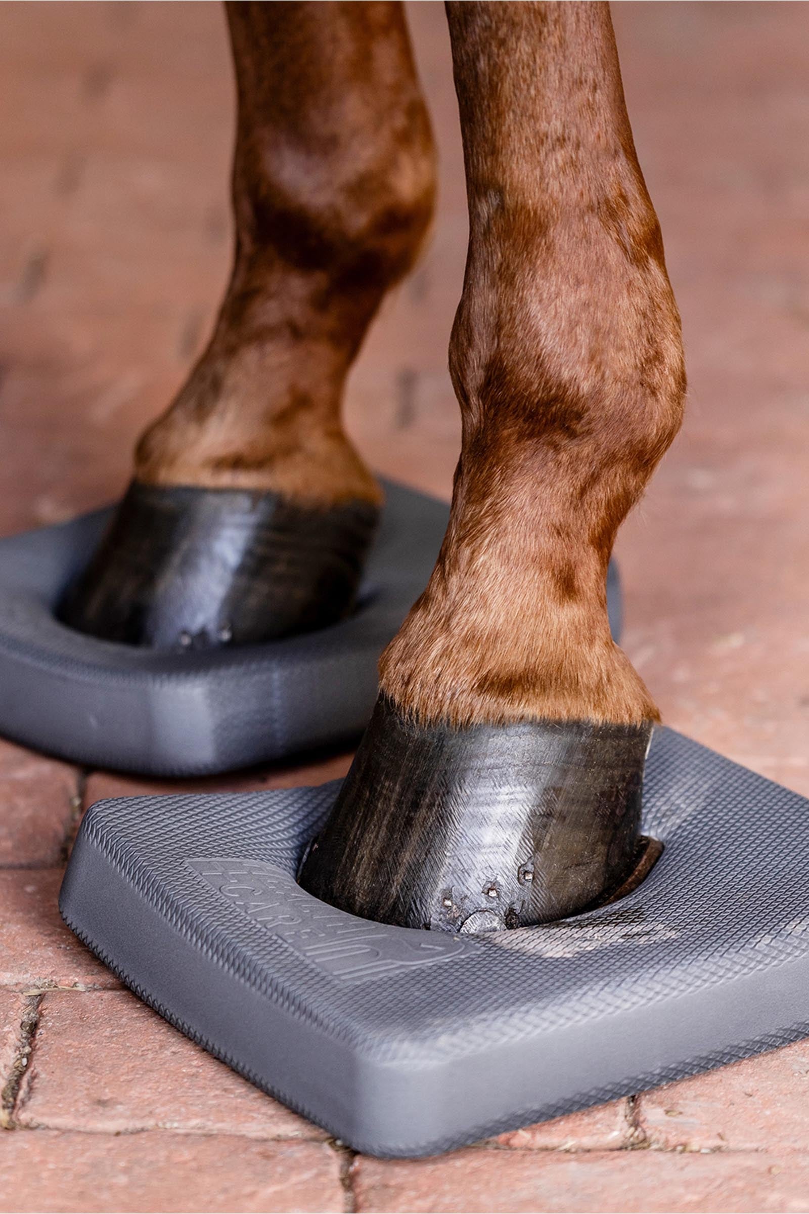 Waldhausen Health + Care Balance Pads Leg & Hoof Protection