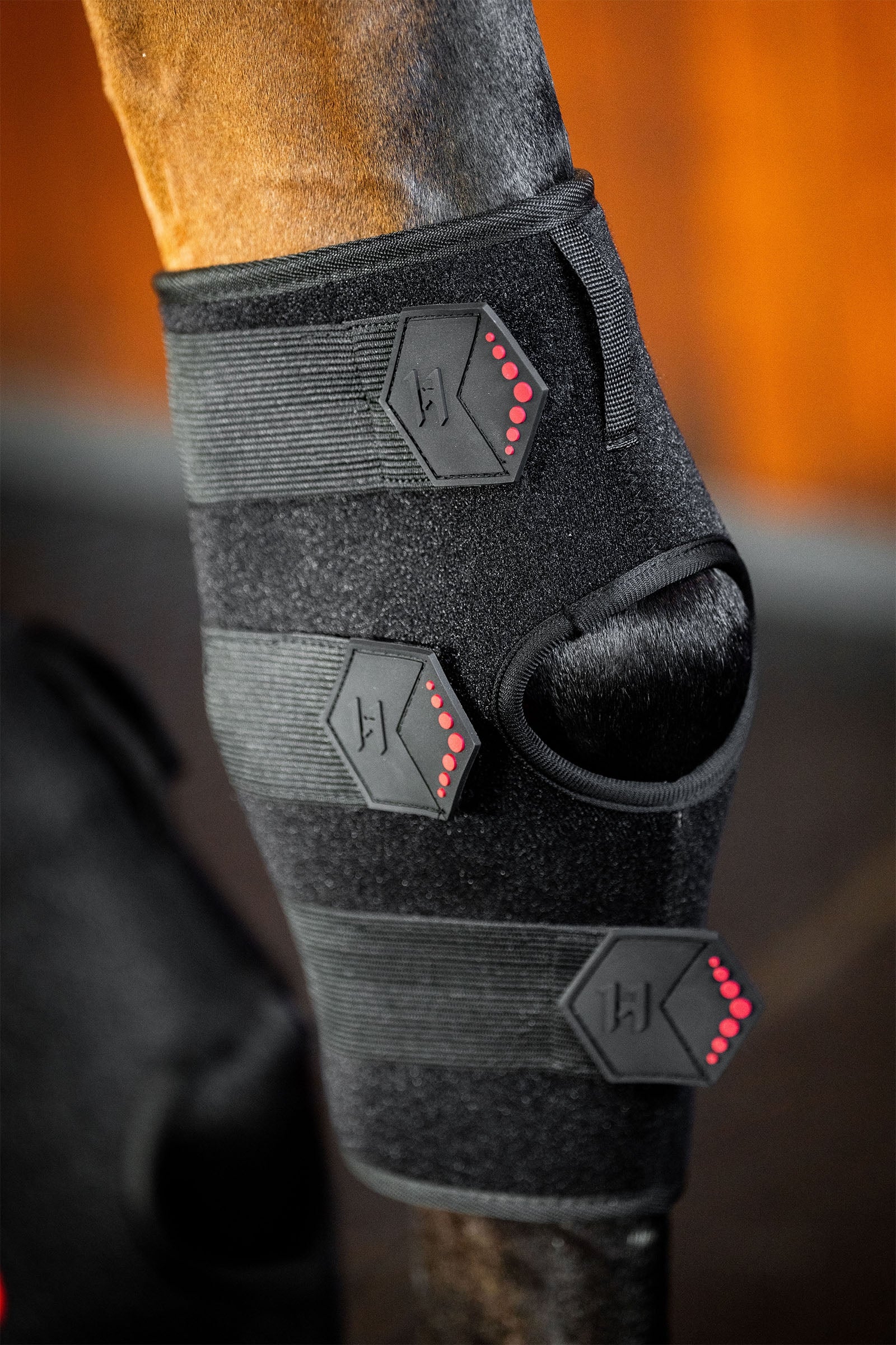 Horseware LED Red Light Therapy Hock Boot (1 pc.) Leg & Hoof Protection