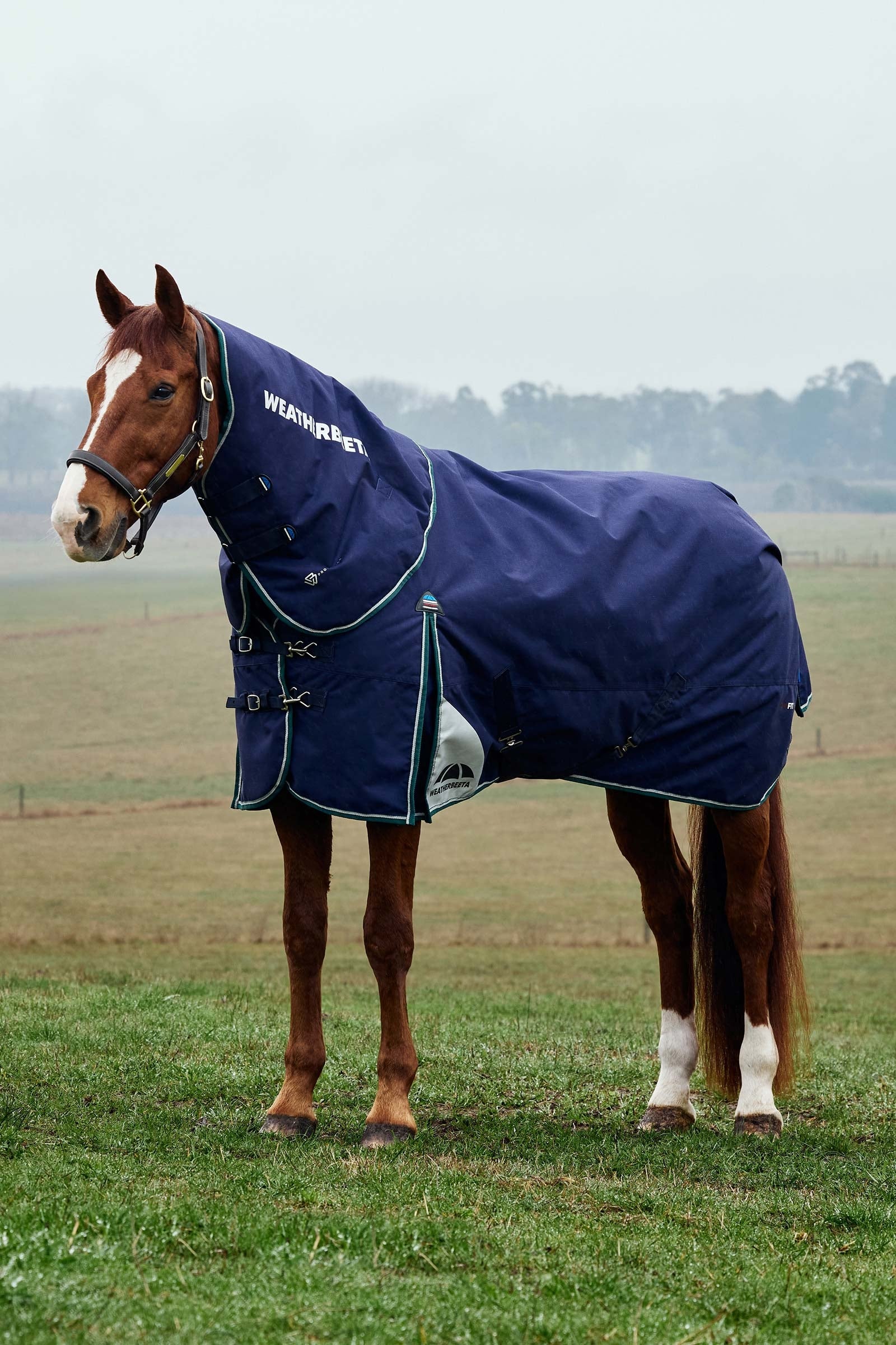 Weatherbeeta ComFiTecPlus Dynamic Turnout Detach-A-Neck 220G Lótakarók