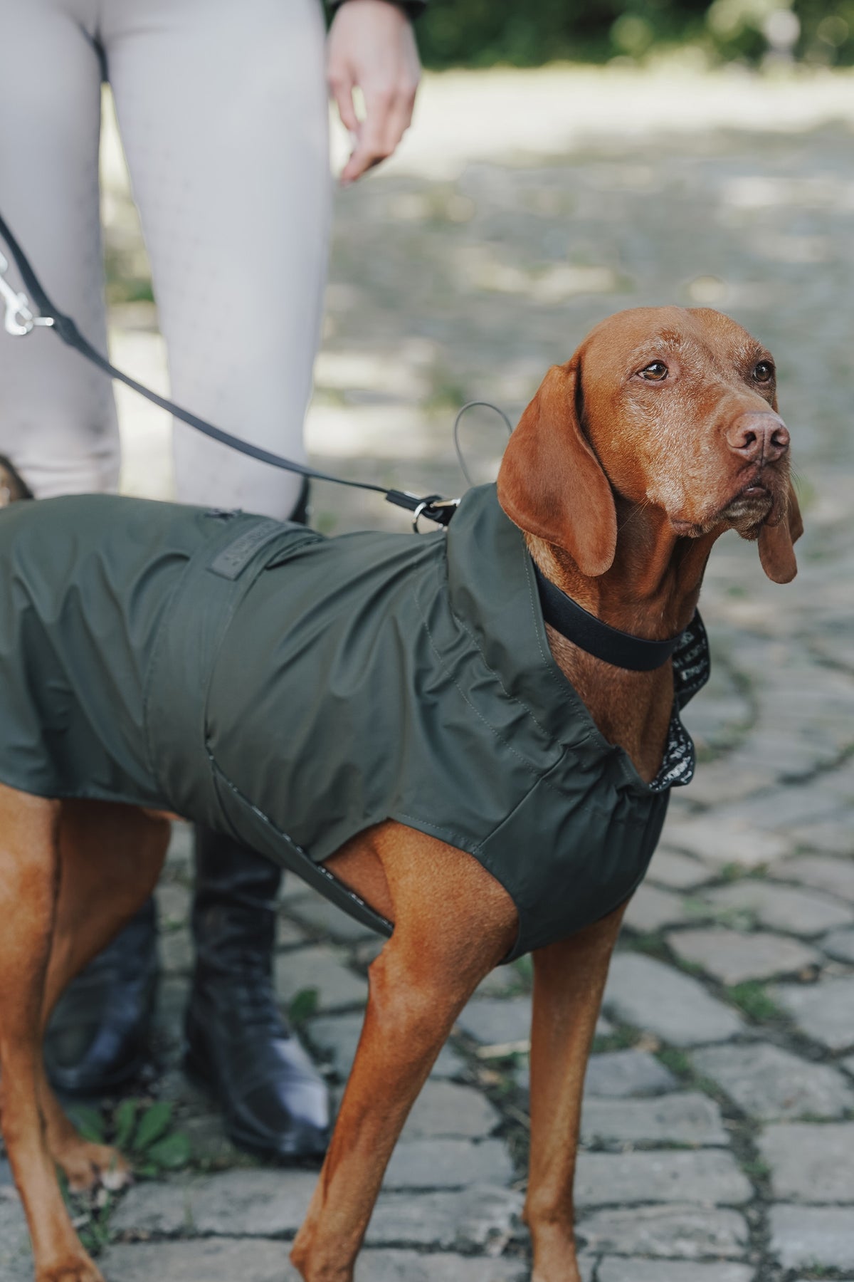 Eskadron Hunter x ESKADRON RAINSHIELD Dog Raincoat Dog Accesories