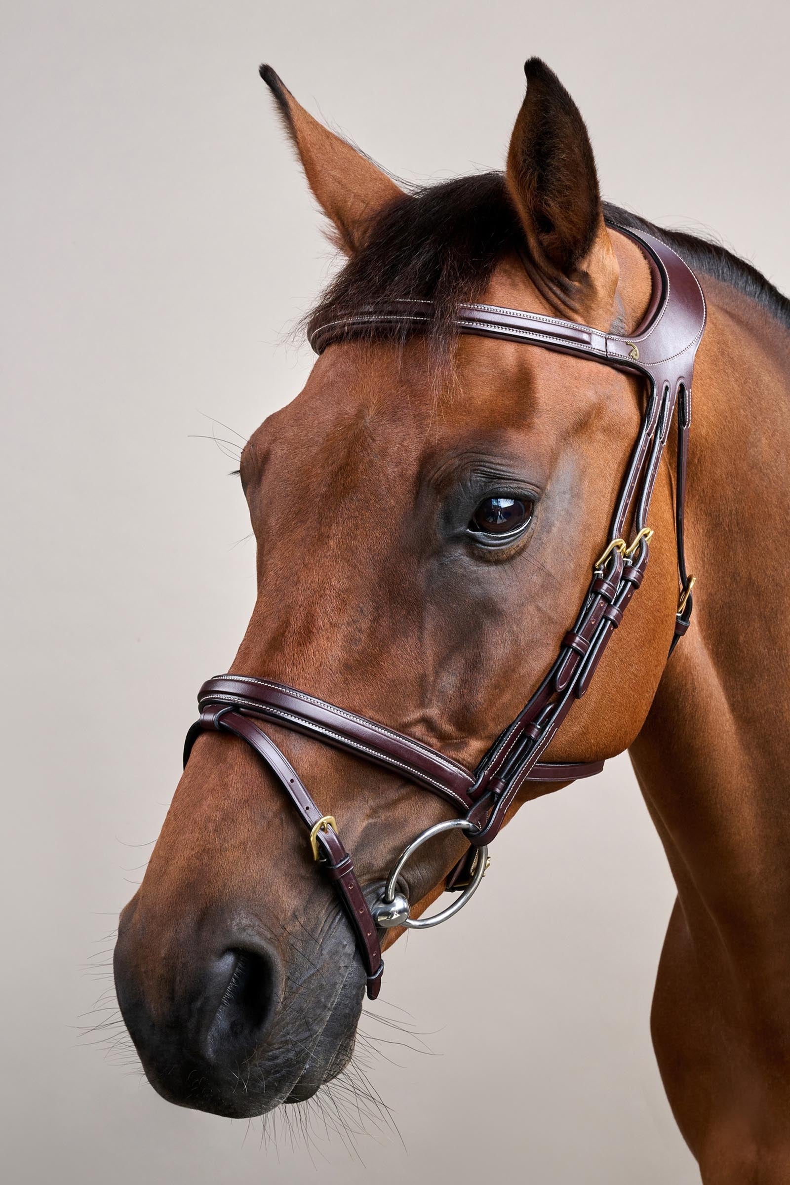 Dy'on D-Collection Difference Bridle Bridles & Reins