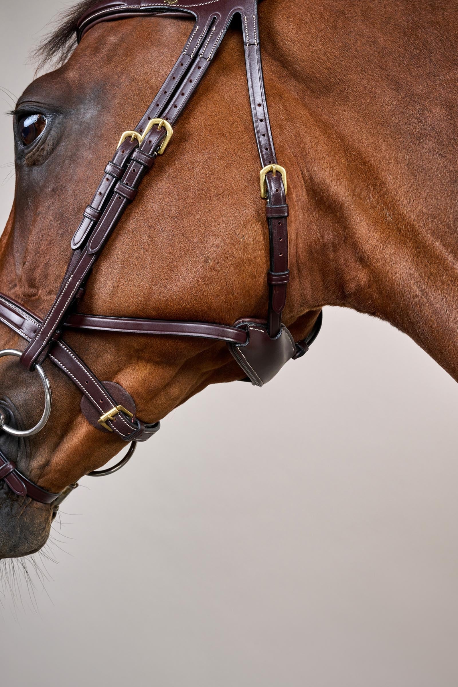 Dy'on D-Collection Difference Bridle Bridles & Reins