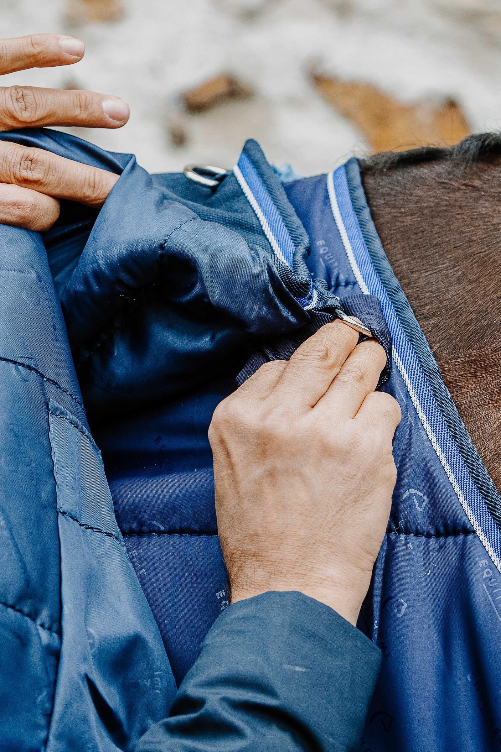 EQUITHÈME Classic 1200D Turnout Rug, 50 g Horse Rugs