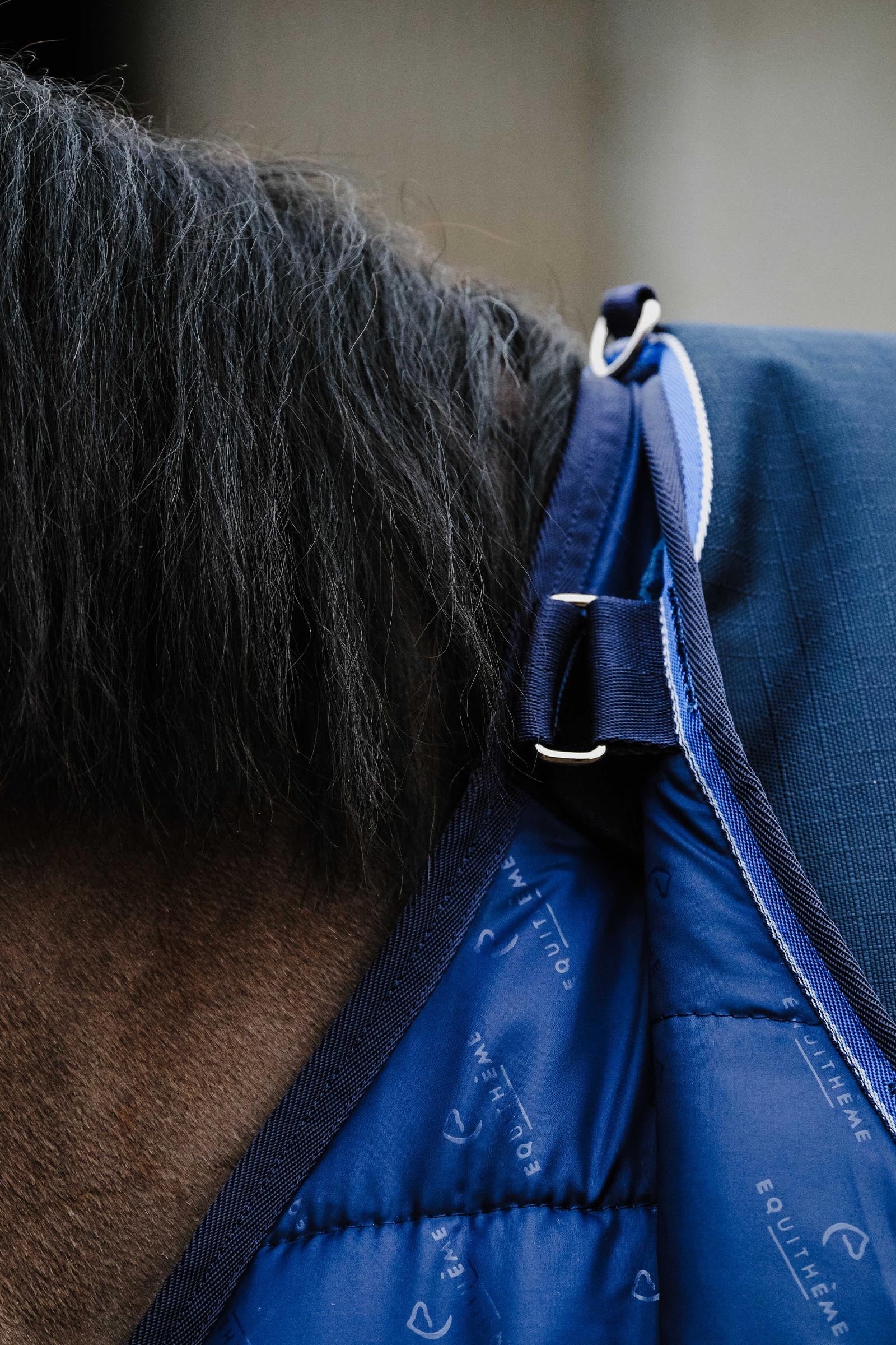 EQUITHÈME Classic 1200D Turnout Rug, 50 g Horse Rugs