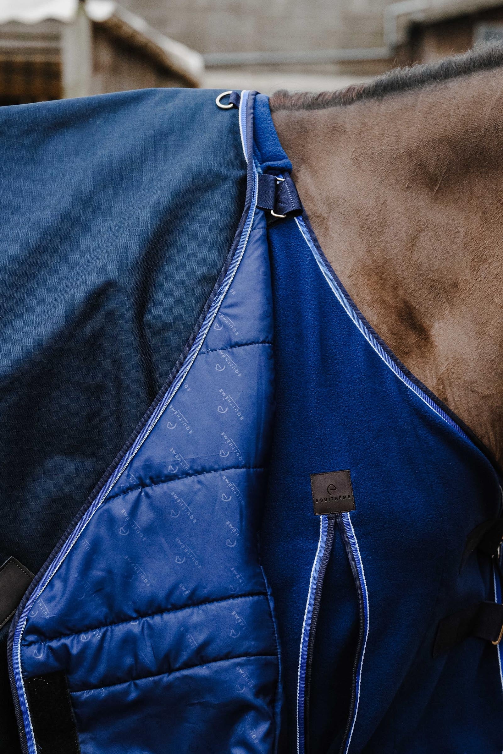 EQUITHÈME Classic 1200D Turnout Rug, 50 g Horse Rugs