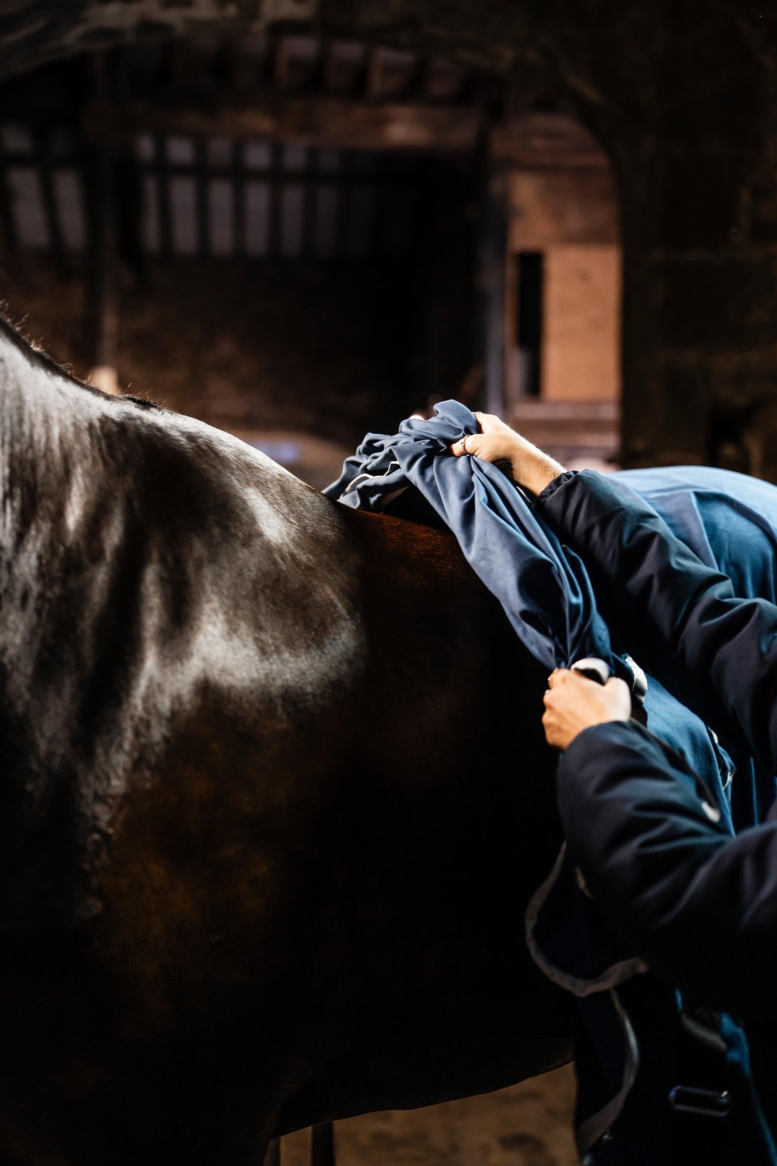 Horseware Rambo Dry Rug Supreme Horse Rugs