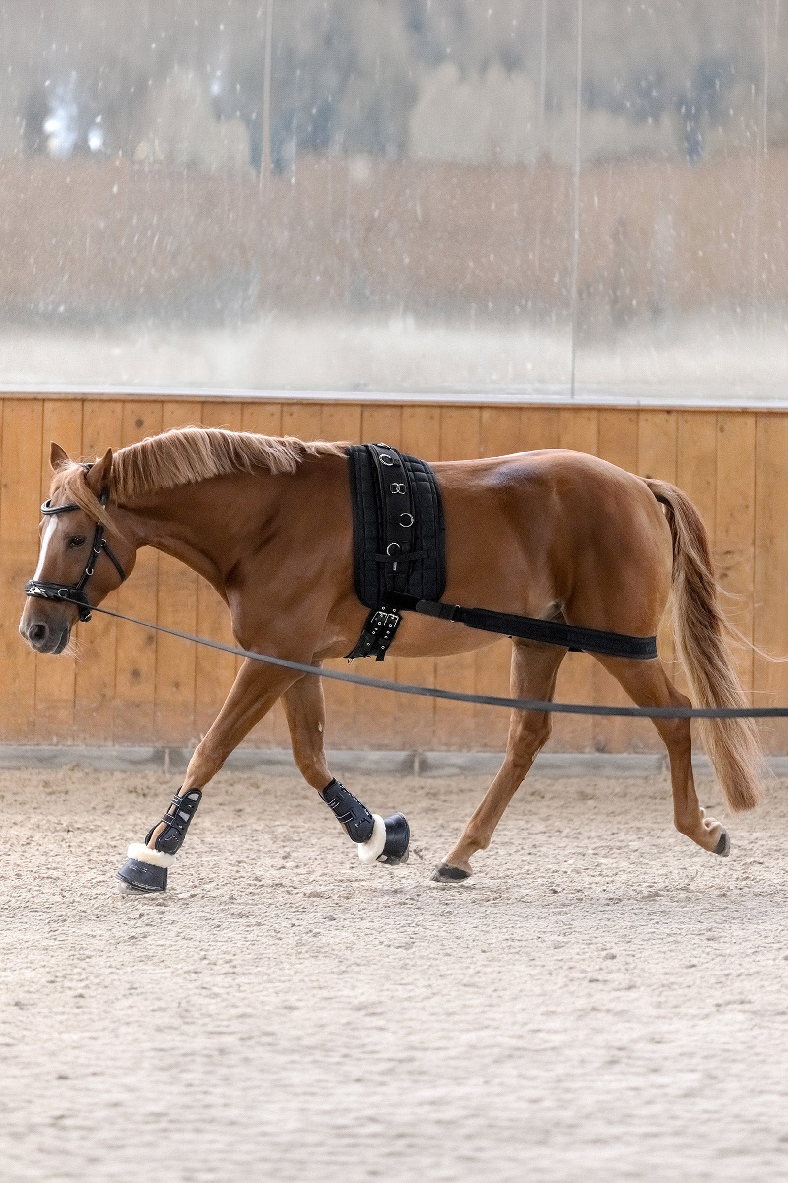 Waldhausen body bandázs a hátulsó rész aktiválására Leg Protection & Hoof Protection for Horses