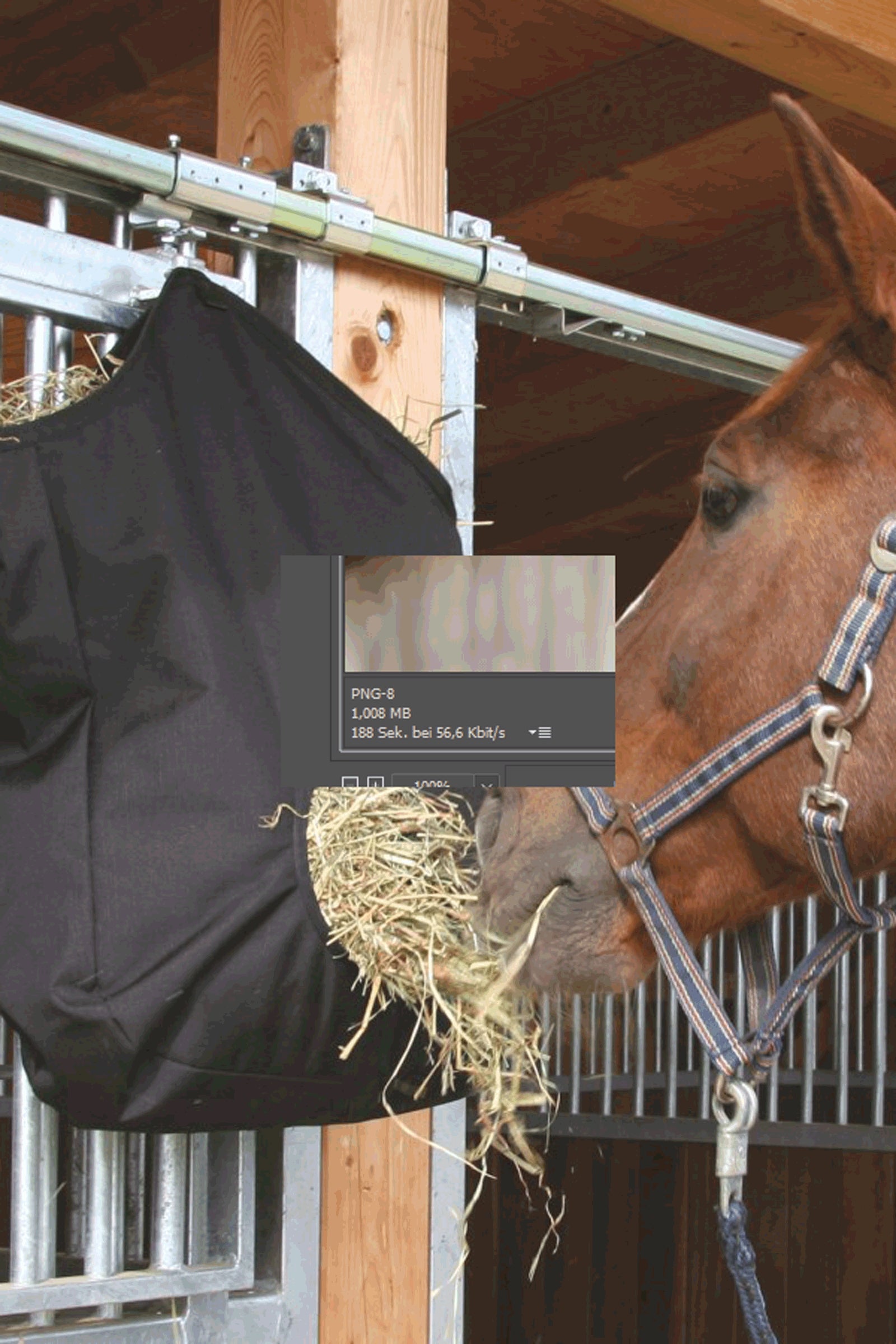 Alt Tag fallback text for IMAGE