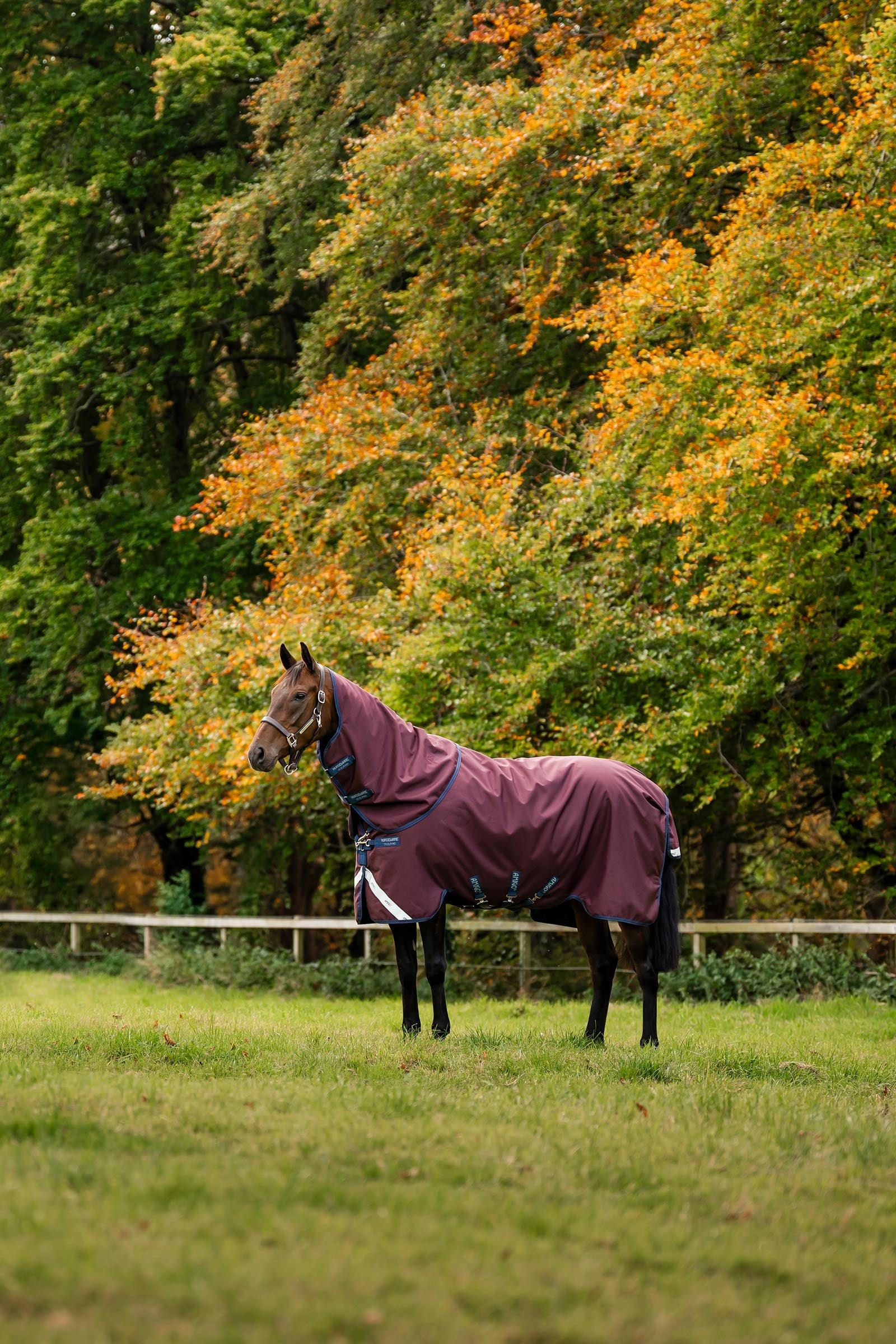 Horseware Amigo Bravo 12 Plus 100g Horse Rugs