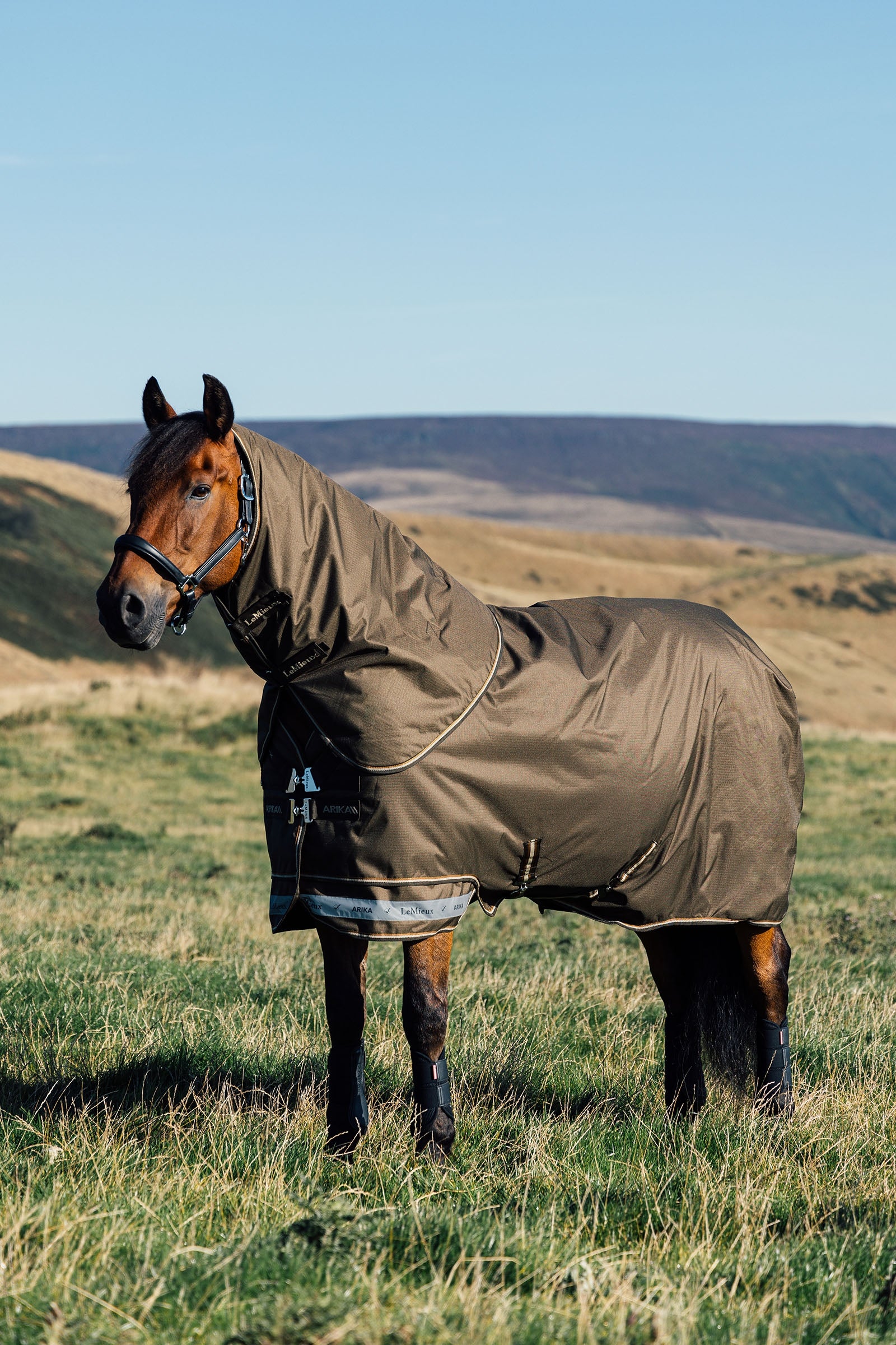 LeMieux Arika Ripstop Turnout Rug With Detachable Neck, 50g Horse Rugs