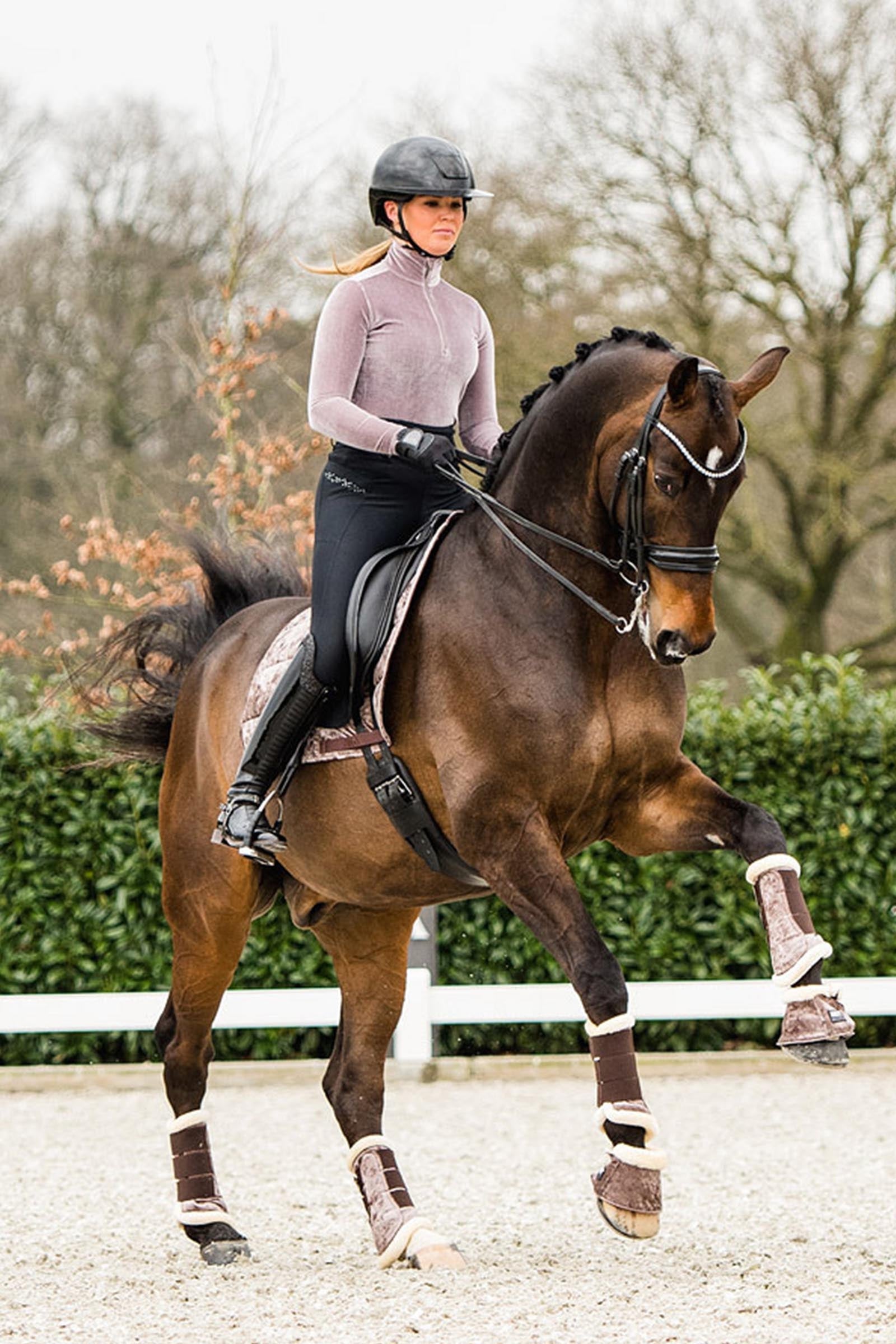 Anky ANKY Jubilee Proficient Boots Leg Protection & Hoof Protection for Horses