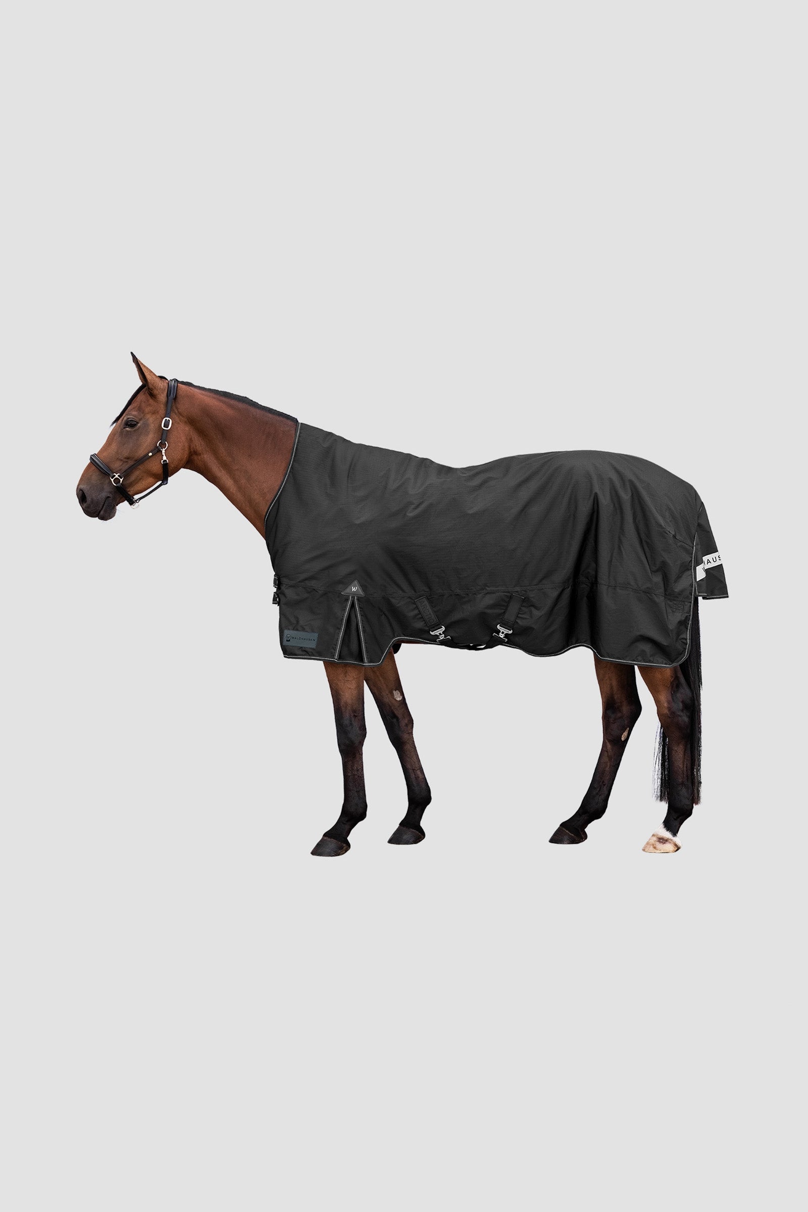 Waldhausen Arctic Outdoor Rug With High Neck, 100 g Lótakarók