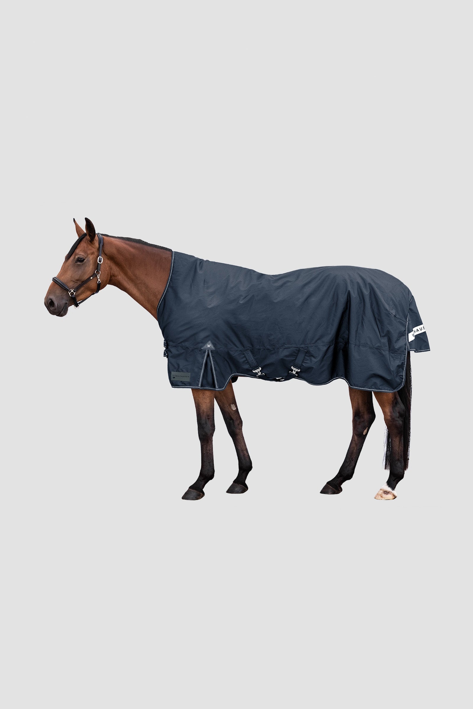 Waldhausen Arctic Outdoor Rug With High Neck, 100 g Lótakarók