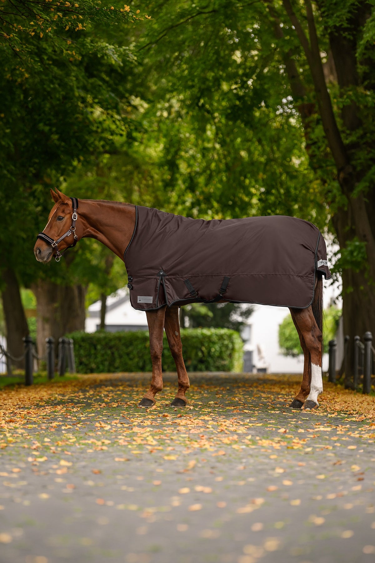 Waldhausen Arctic Outdoor Rug With High Neck, 100 g Horse Rugs