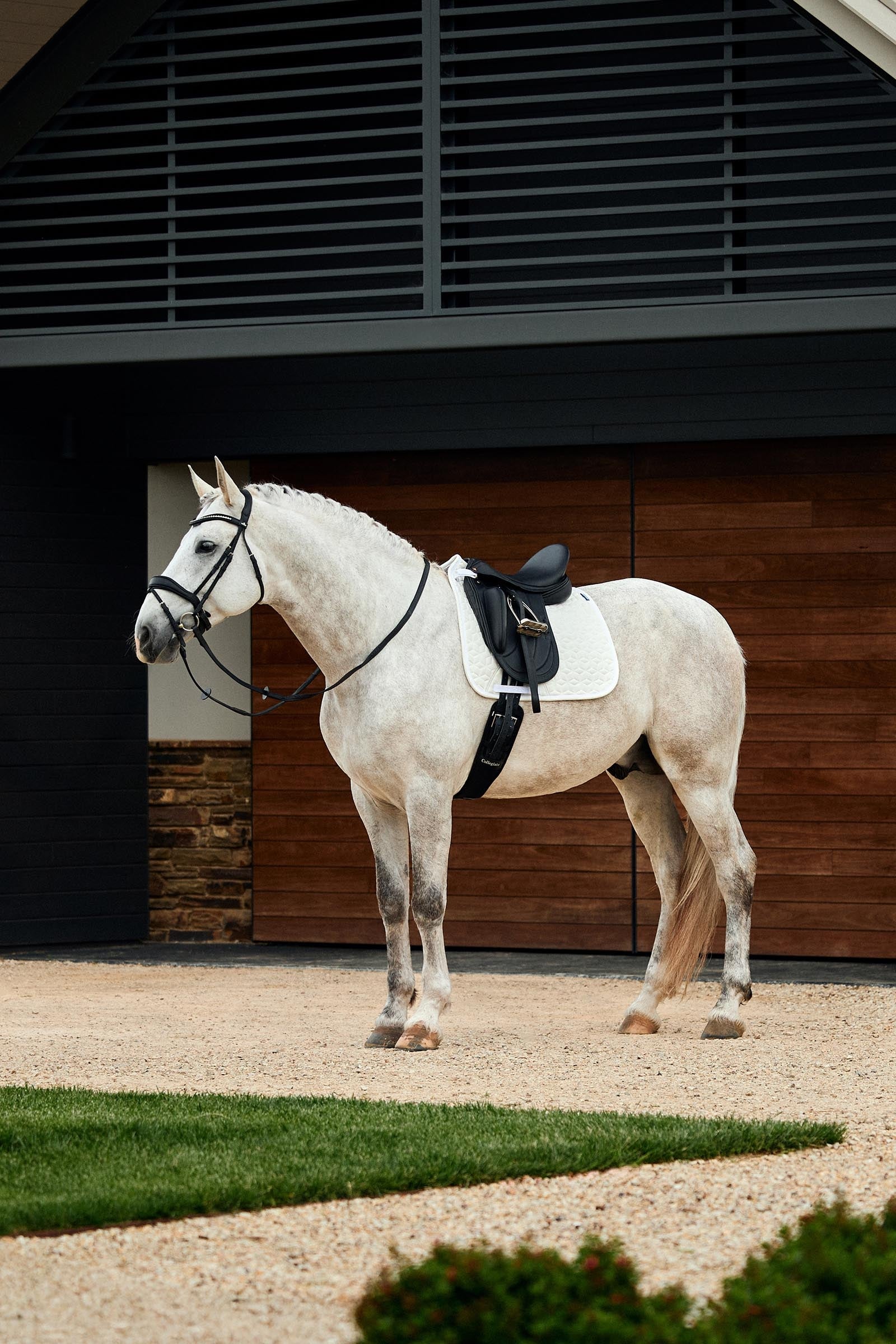 Weatherbeeta Suede Elite Air-Tec Dressage Saddle Pad Saddle Pads