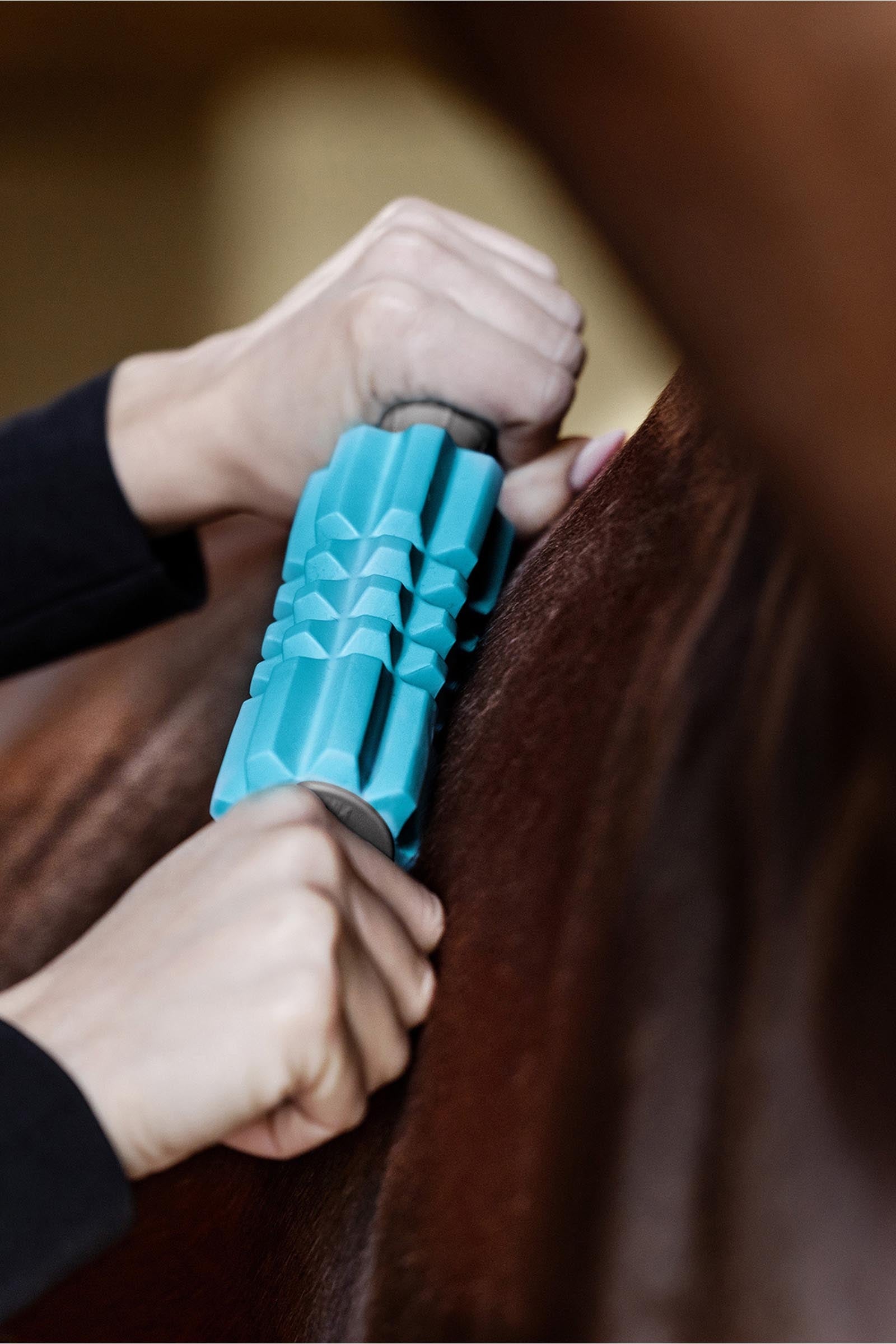 Waldhausen Health + Care Faszien Fit Leg Protection & Hoof Protection for Horses