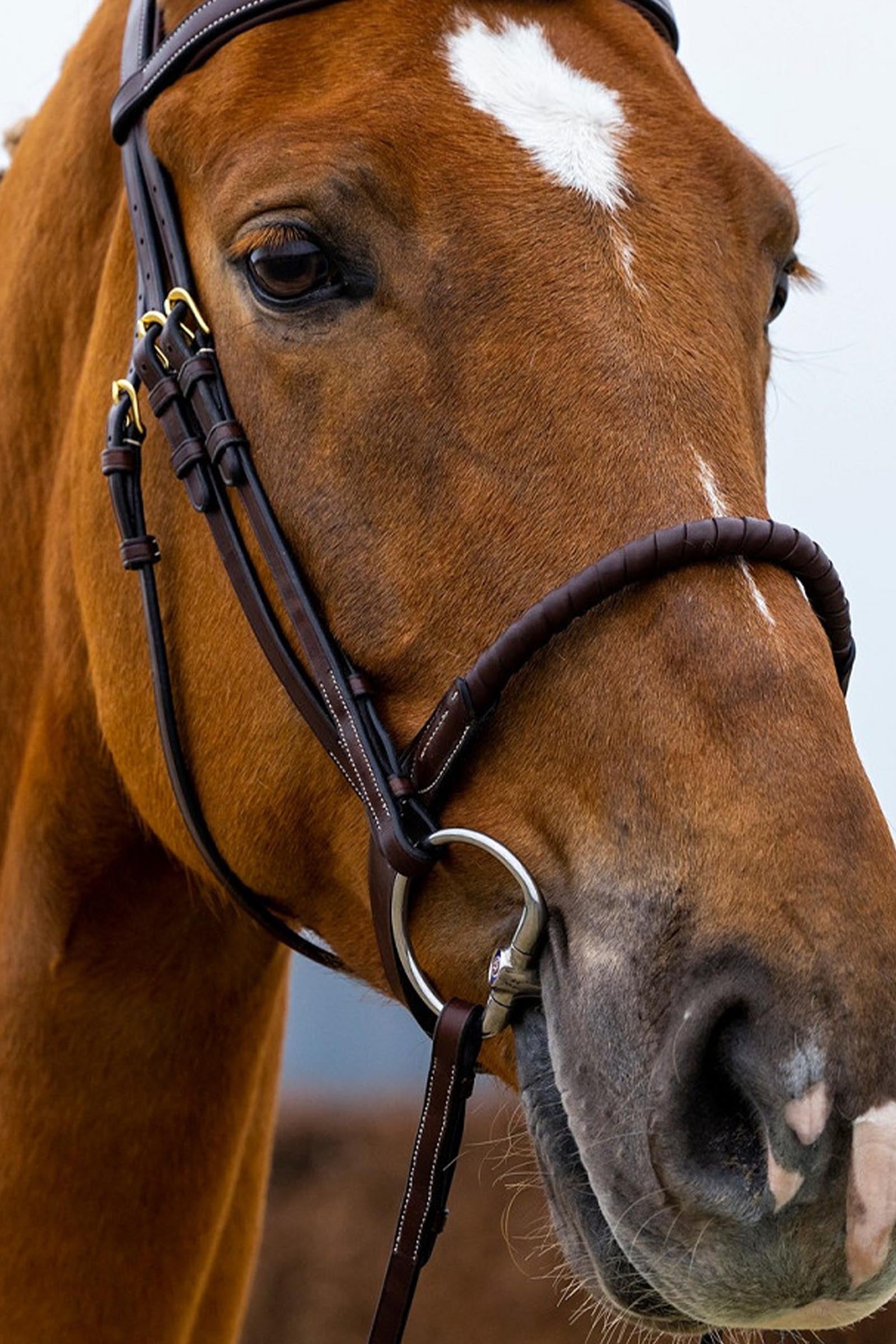 Trust Equestrian Dublin Rope Noseband Bridle Covered Bridles & Reins