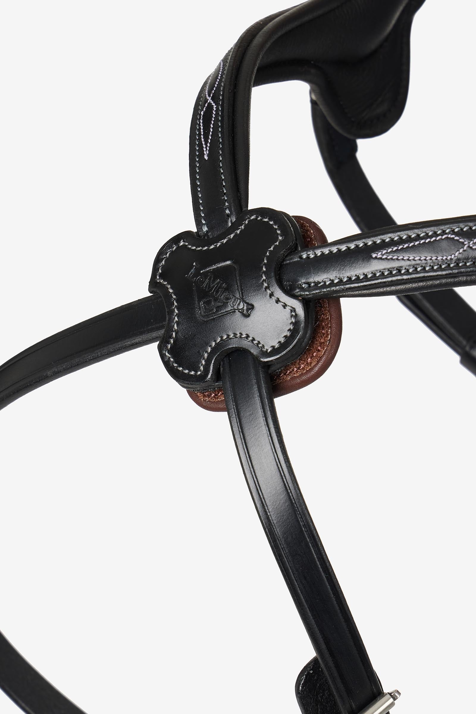 LeMieux Kudos Grackle Bridle Bridles & Reins