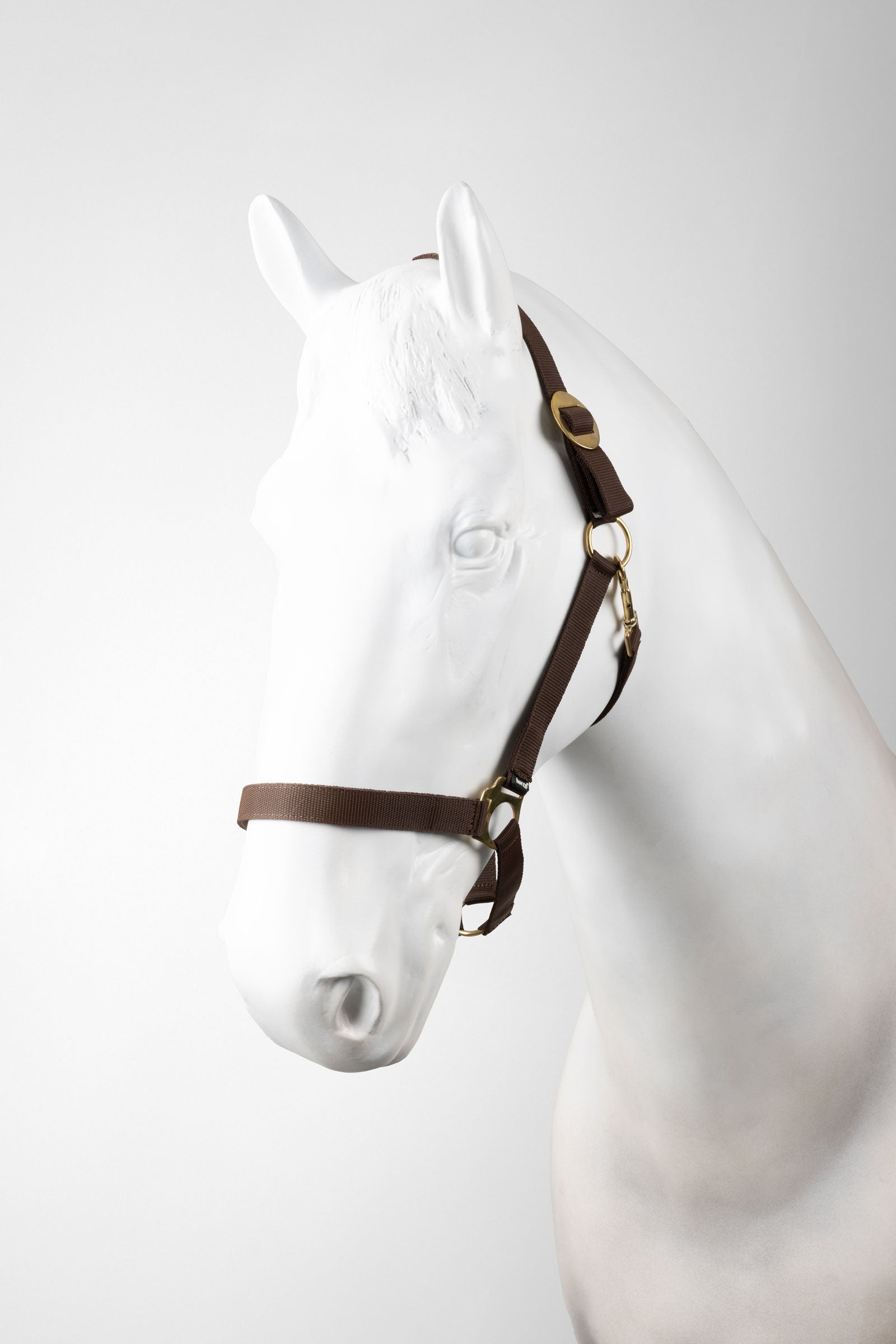 Horze Exeter Halter Set (3 pcs) Halters & Leads