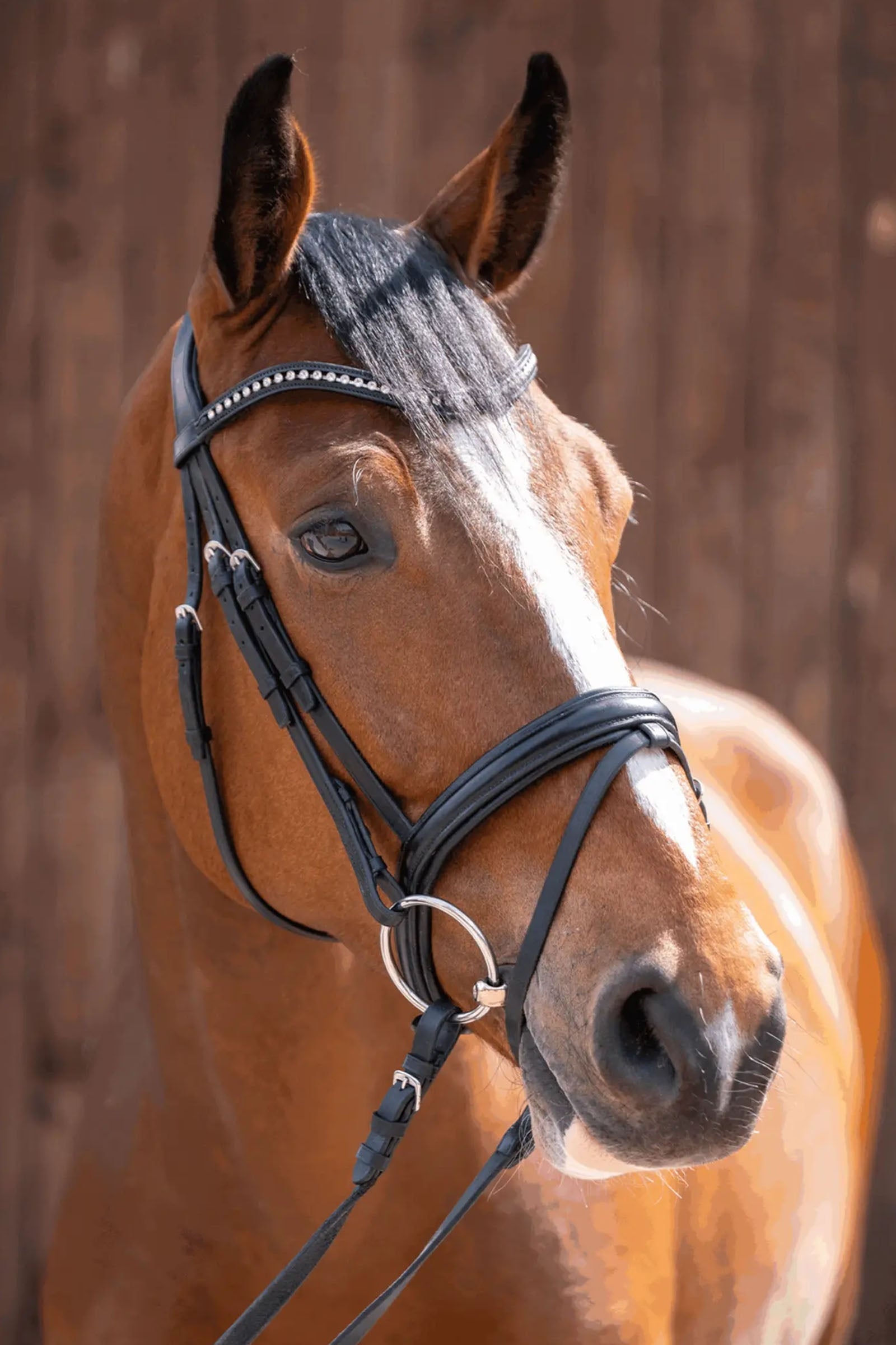 Sprenger Novocontact Loose Ring Snaffle, Single Jt. 14mm, Sensogan Horse Bits