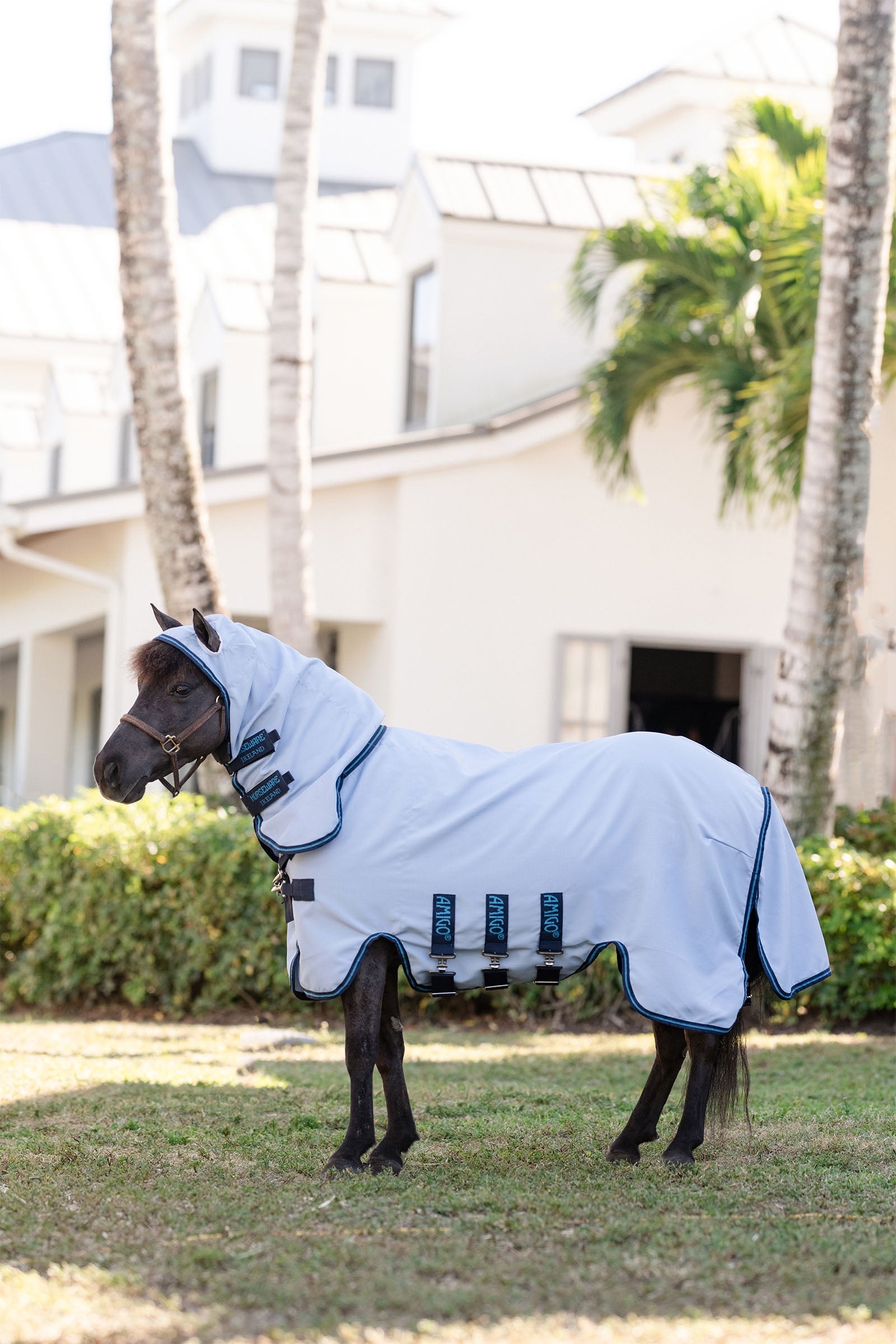 Horseware Amigo Ripstop Hoody, Petite Lótakarók