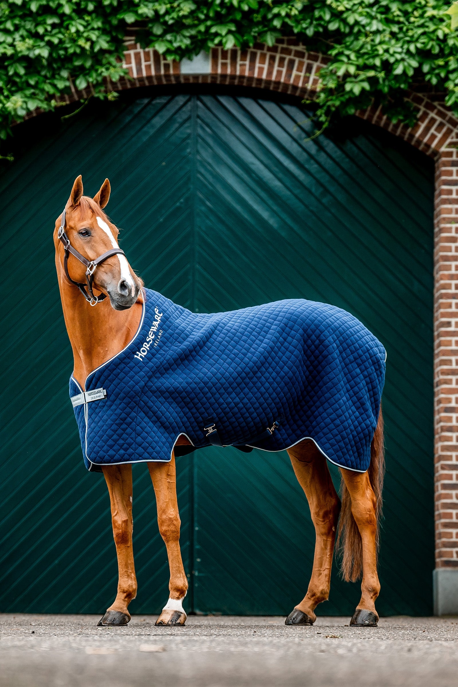 Horseware Őszi Leszárító Takaró Lótakarók