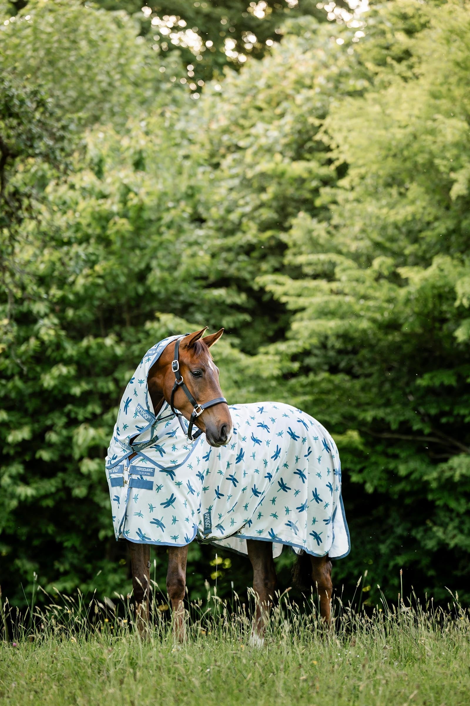 Horseware Amigo Bug Rug Plus Horse Rugs