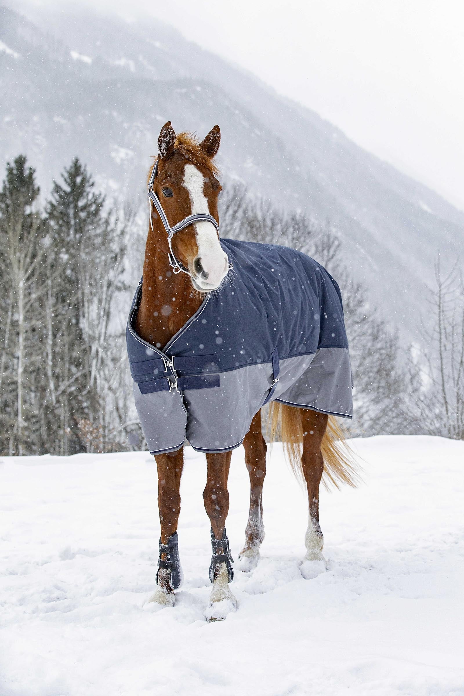 Equi Theme EQUITHÈME TYREX 600D Turnout Rug Fleece Lined Horse Rugs