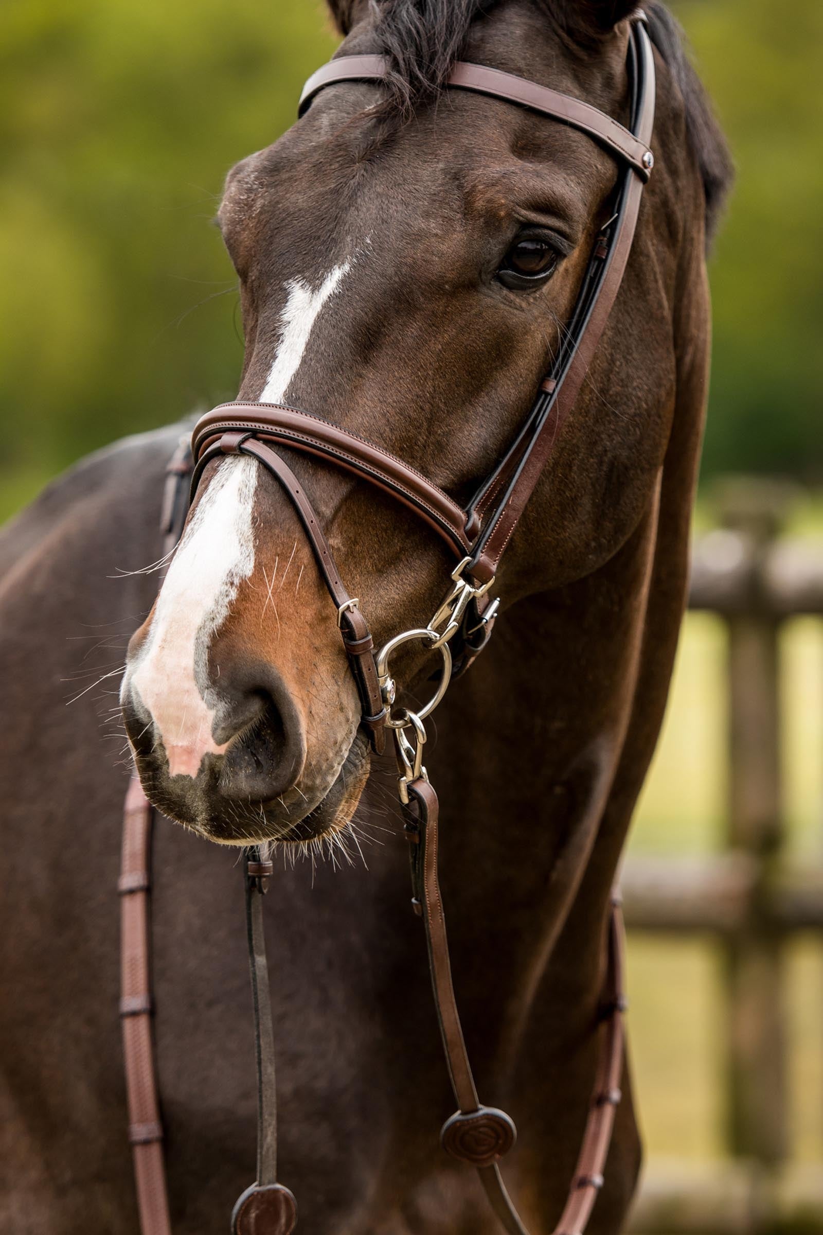 Trust Equestrian Hamburg Training Bridle W Padding & Rubber Reins Bridles & Reins