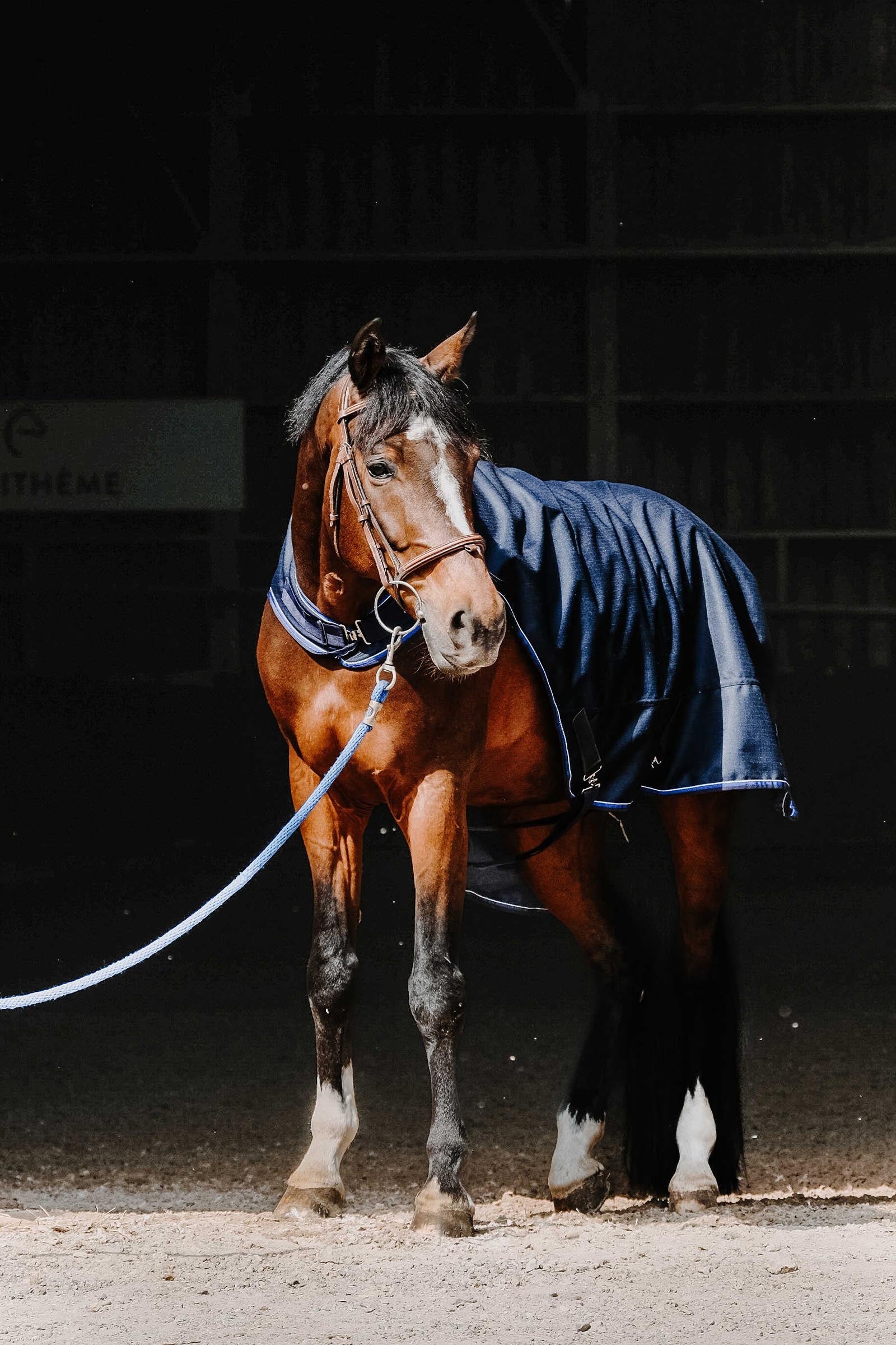 EQUITHÈME Classic 1200D Walker Sheet Horse Rugs