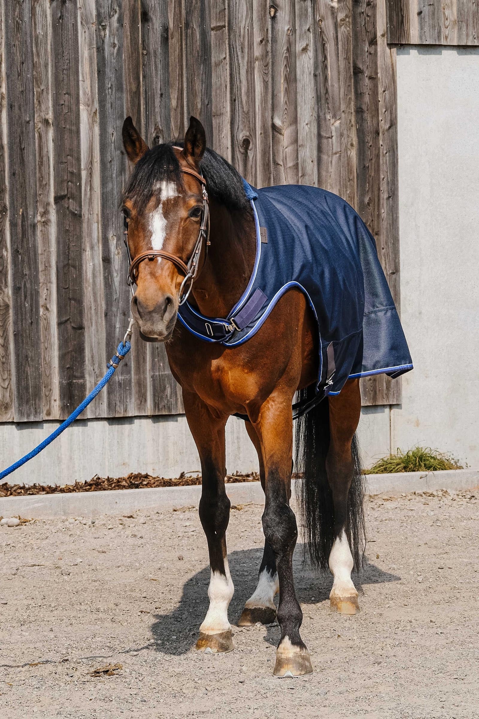EQUITHÈME Classic 1200D Walker Sheet Horse Rugs