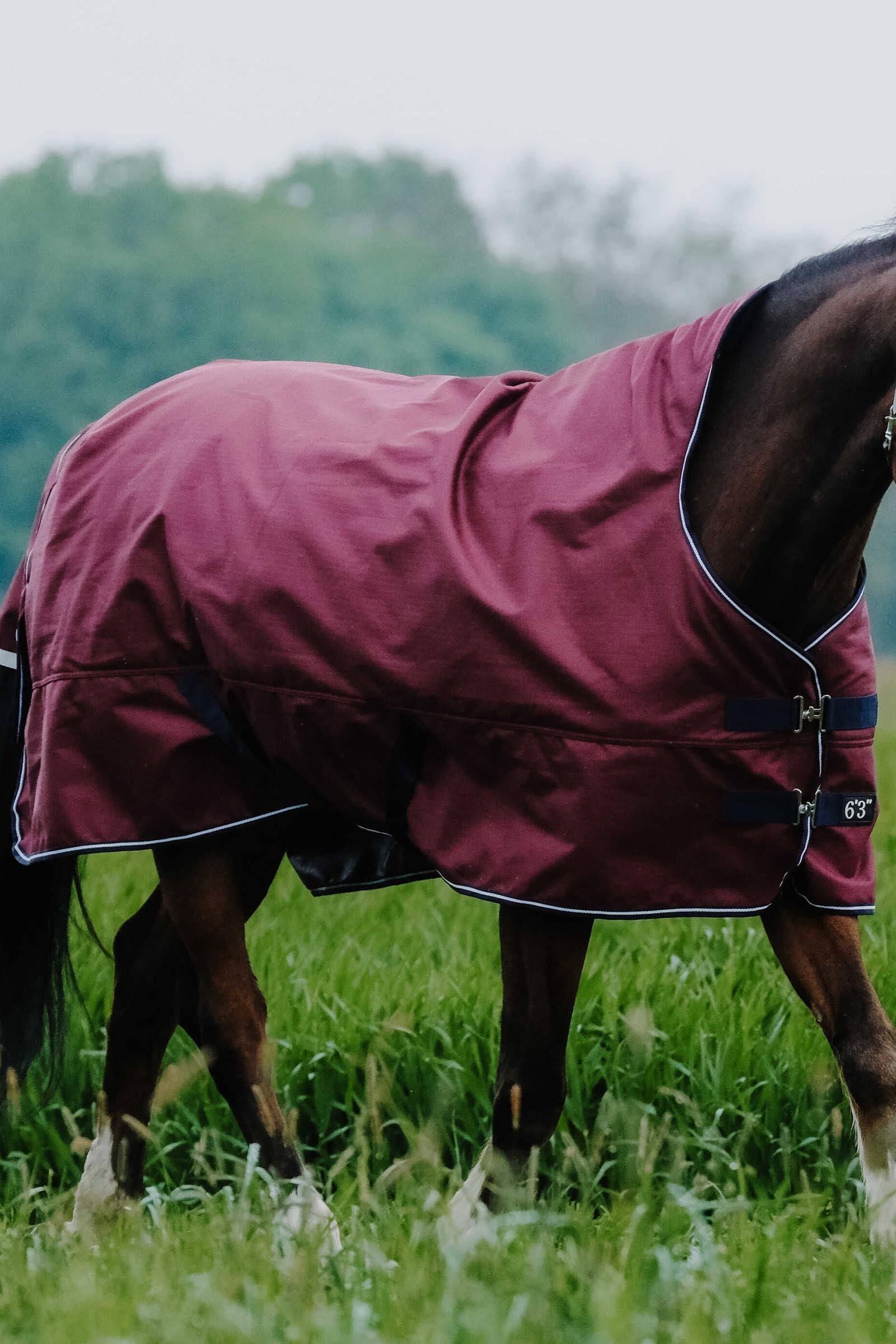 Equi Theme EQUITHÈME TYREX 1200D High Neck Rug, 0 g Horse Rugs