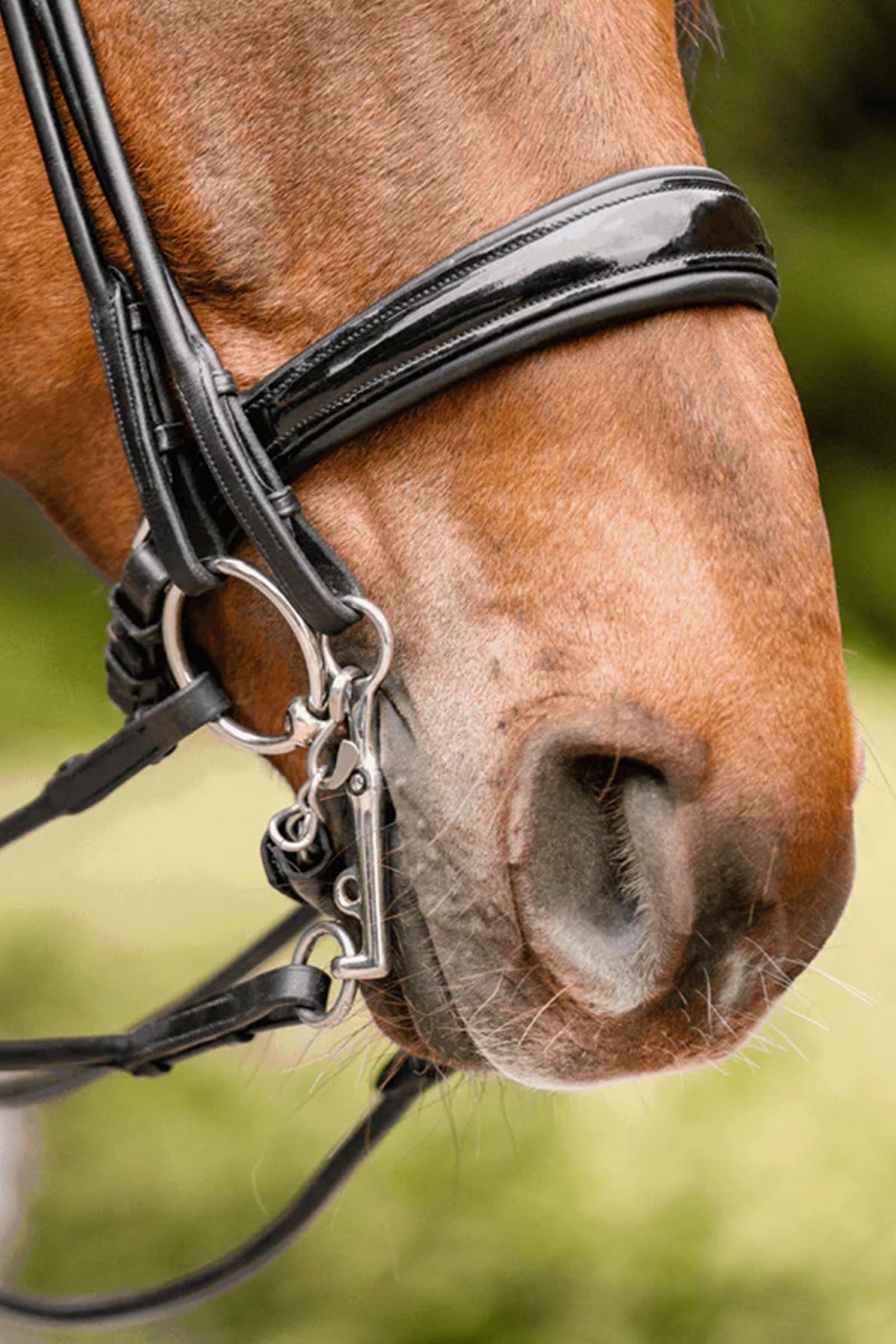 Sprenger Dynamic Rs Pony/Icel. Snaffle Bit, Single Jt. 12mm, Sensogan Horse Bits