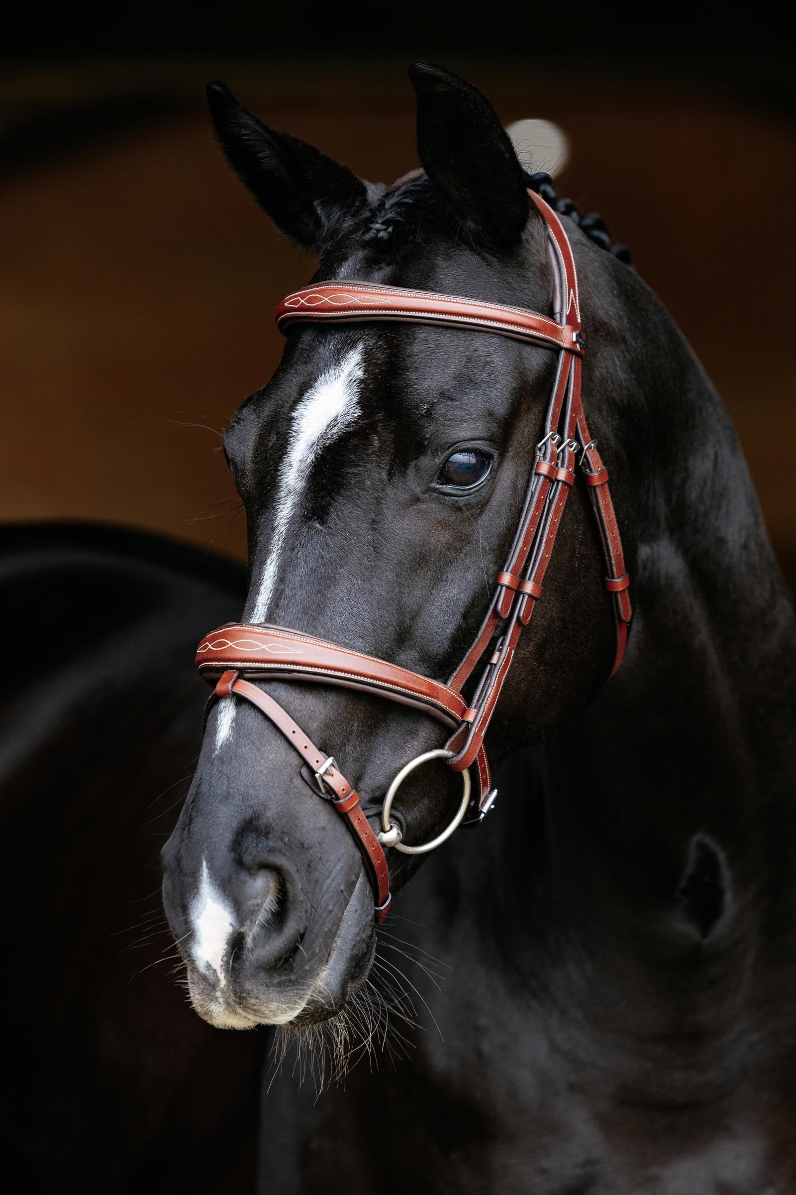 LeMieux Competiton Flash Bridle Bridles & Reins