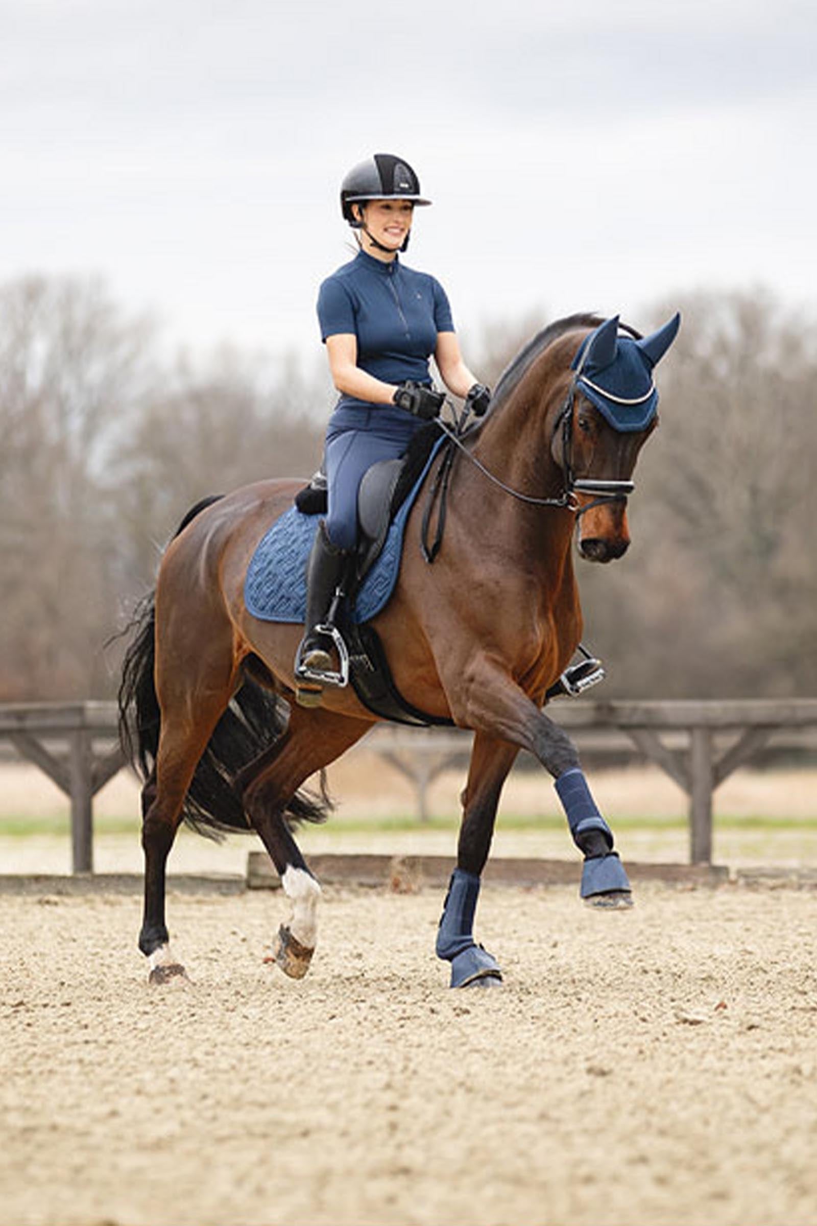 Anky ANKY 3C Collection Proficient Neoprene Tendon Boots Leg Protection & Hoof Protection for Horses