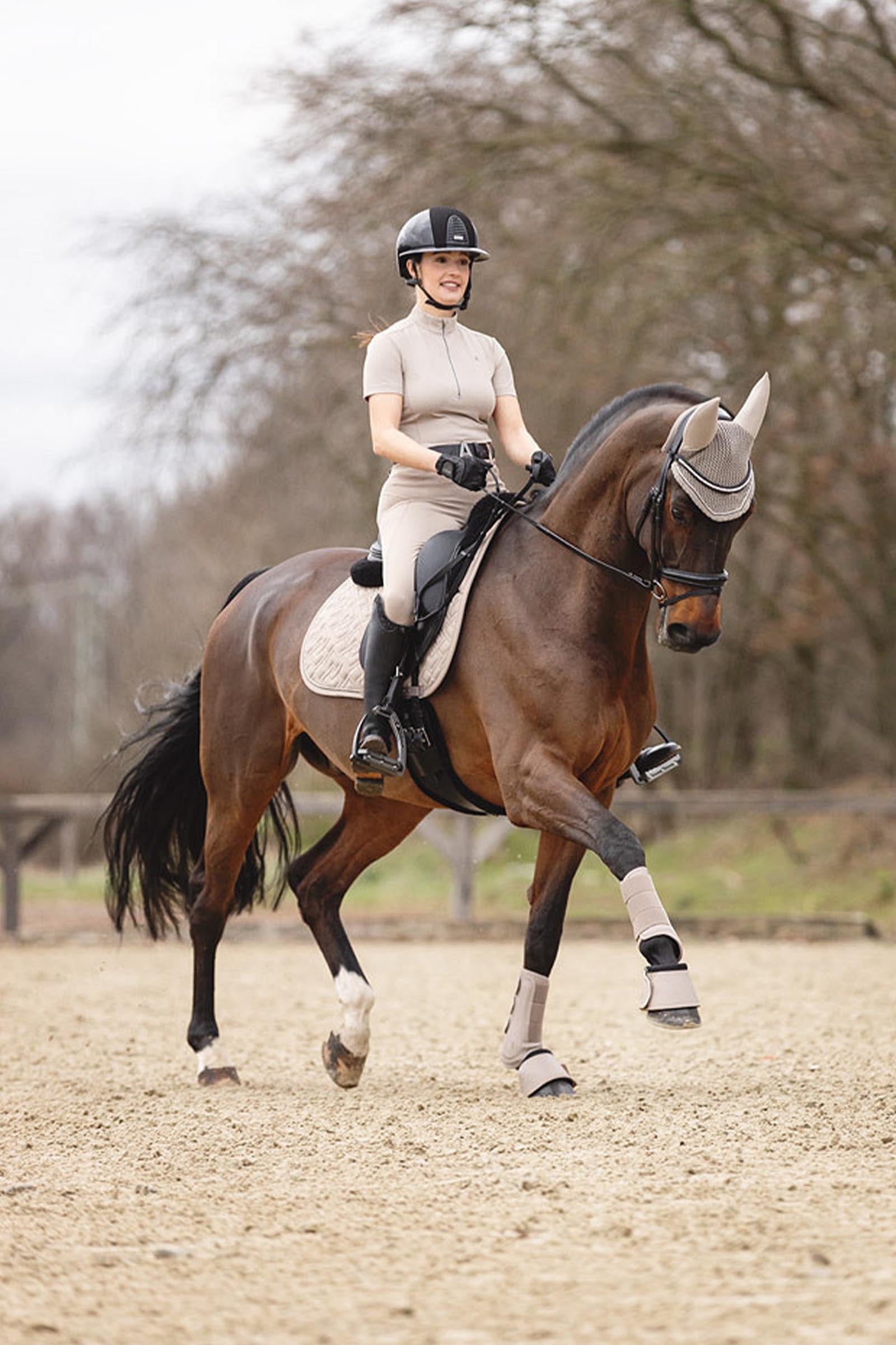 Anky ANKY 3C Collection Proficient Neoprene Tendon Boots Leg Protection & Hoof Protection for Horses
