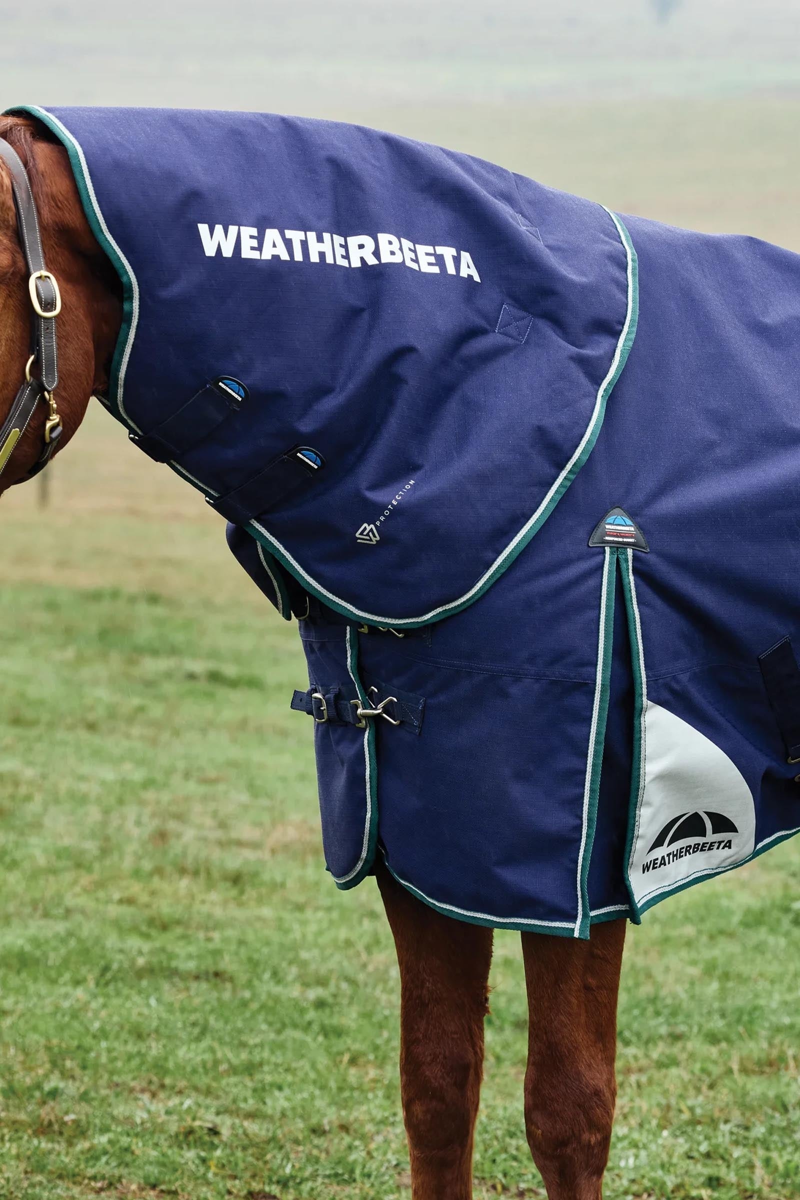 Lifestyle shot 5