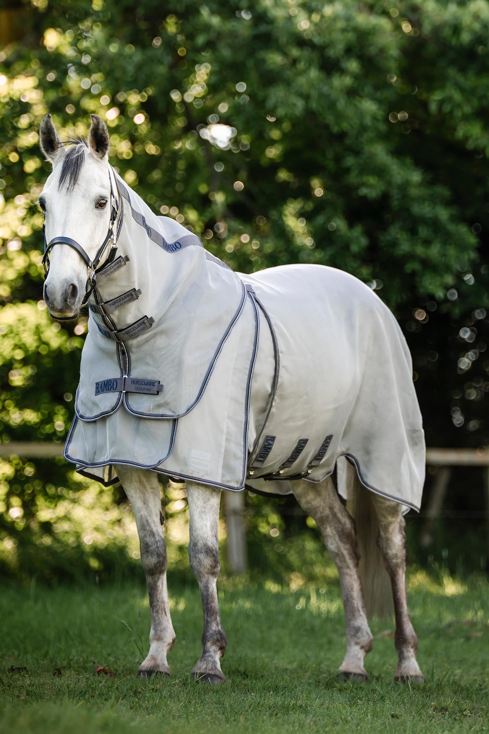 Horseware Rambo Optimo Protector Plus lótakaró Lótakarók