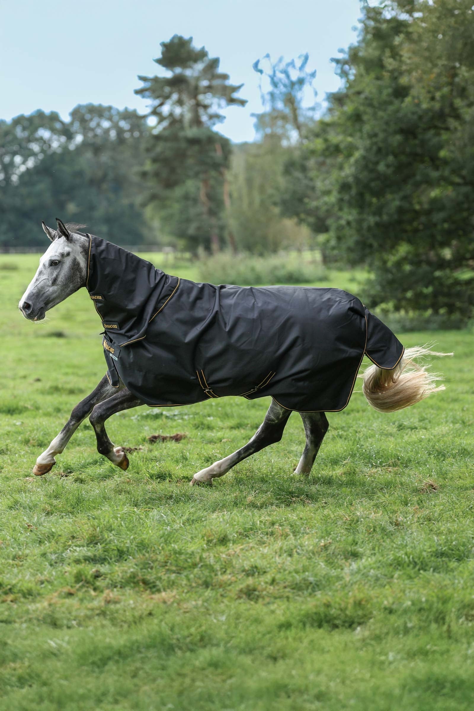 Bucas Irish Turnout 150 g Rug & Neck Set Lótakarók
