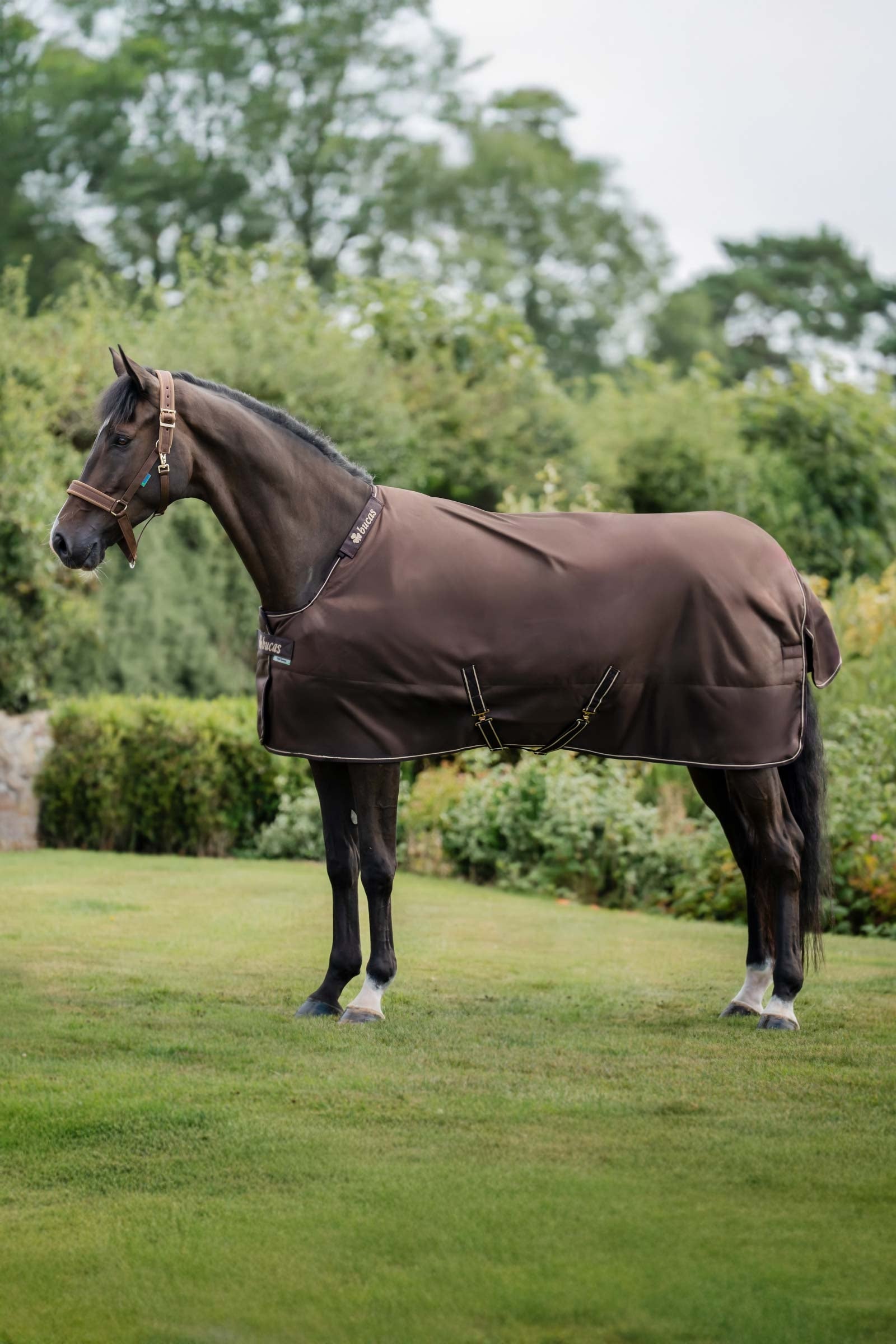 Bucas Irish Turnout 150 g Rug & Neck Set Lótakarók