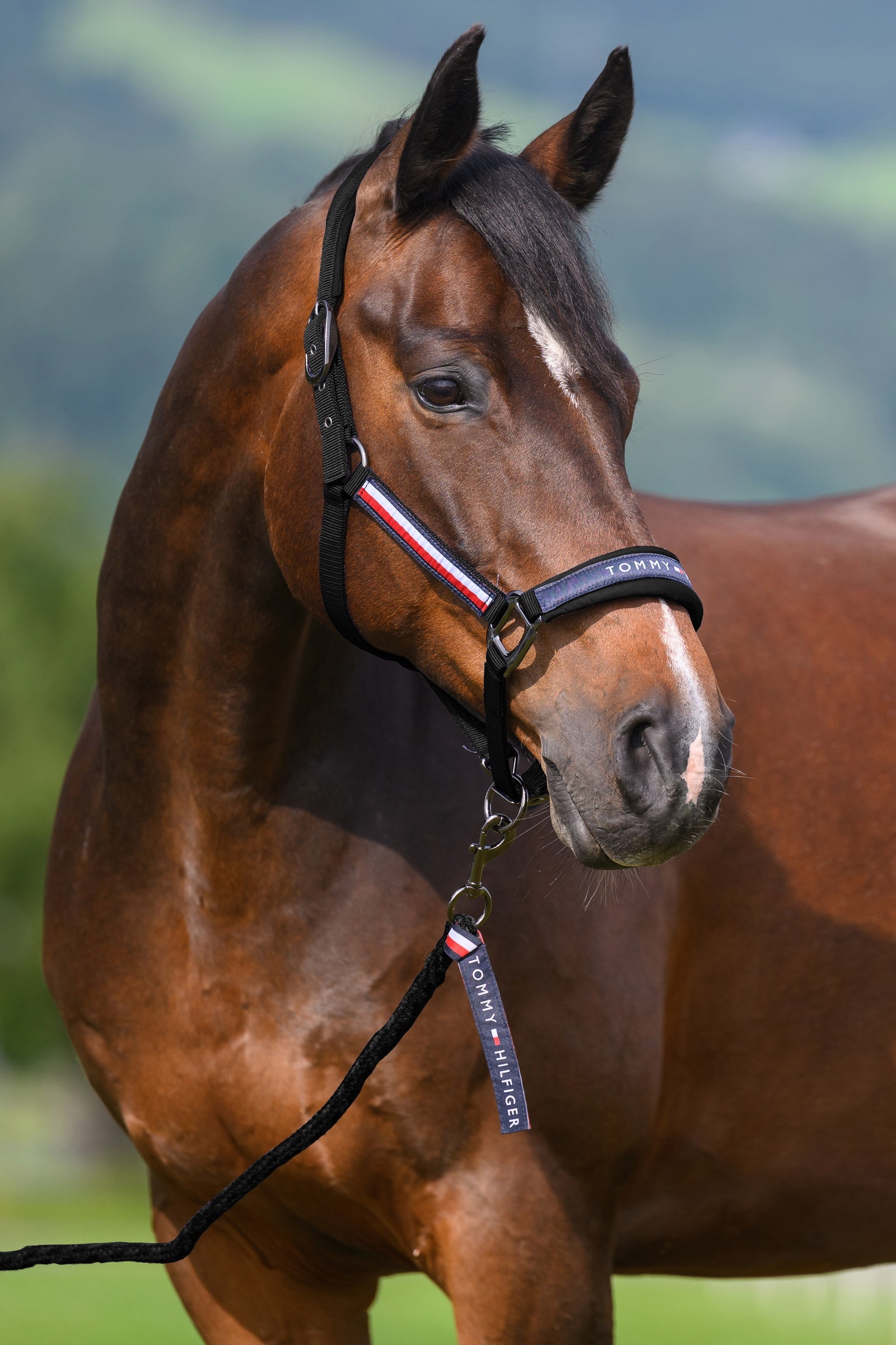 Tommy Hilfiger Equestrian Yale kötőfék és vezetőszár szett Kötofékek & Vezetoszárak