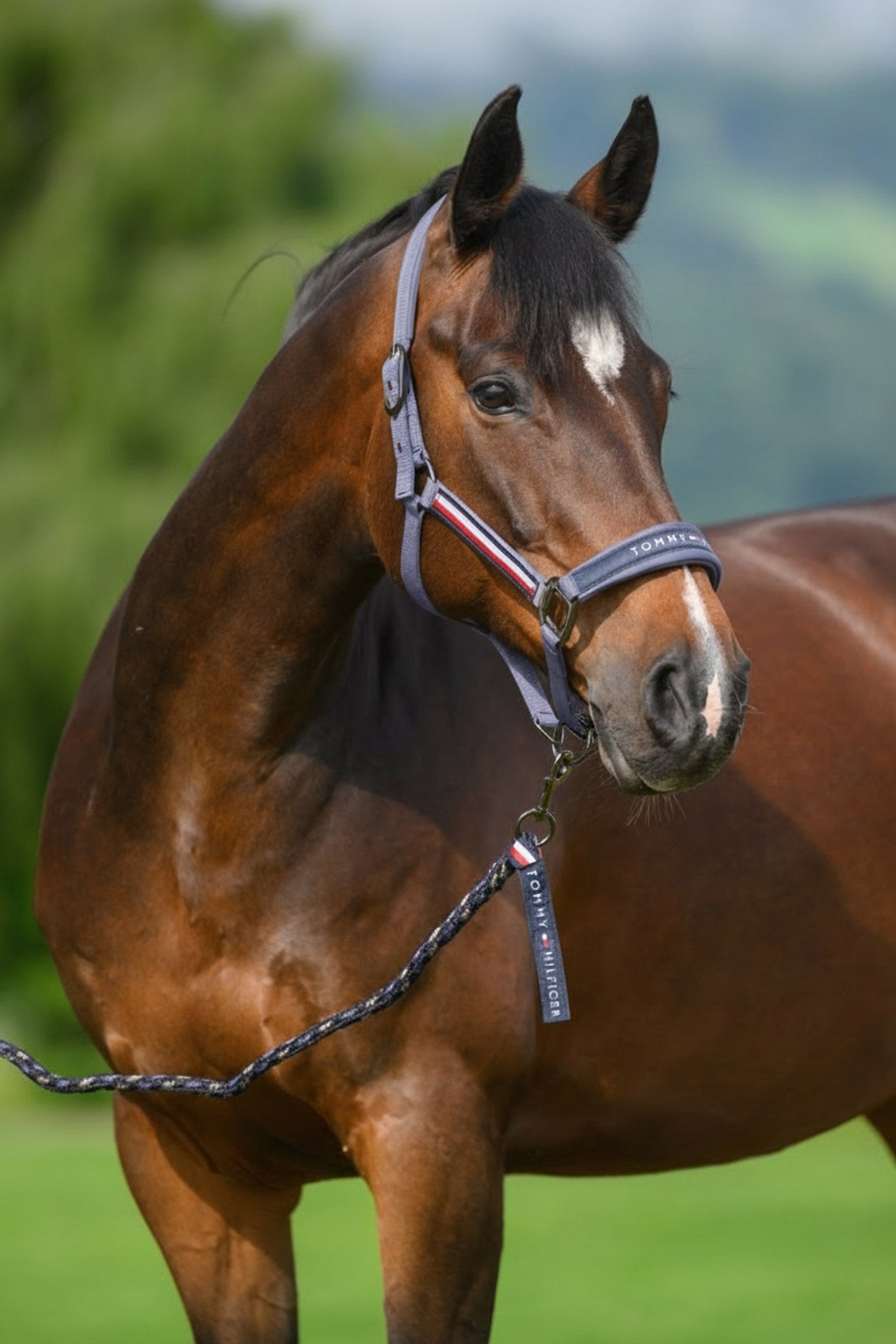 Tommy Hilfiger Equestrian Yale kötőfék és vezetőszár szett Kötofékek & Vezetoszárak