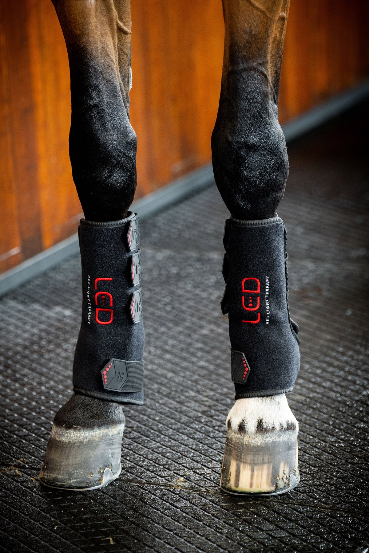 Horseware LED Red Light Therapy Leg Wraps Leg & Hoof Protection