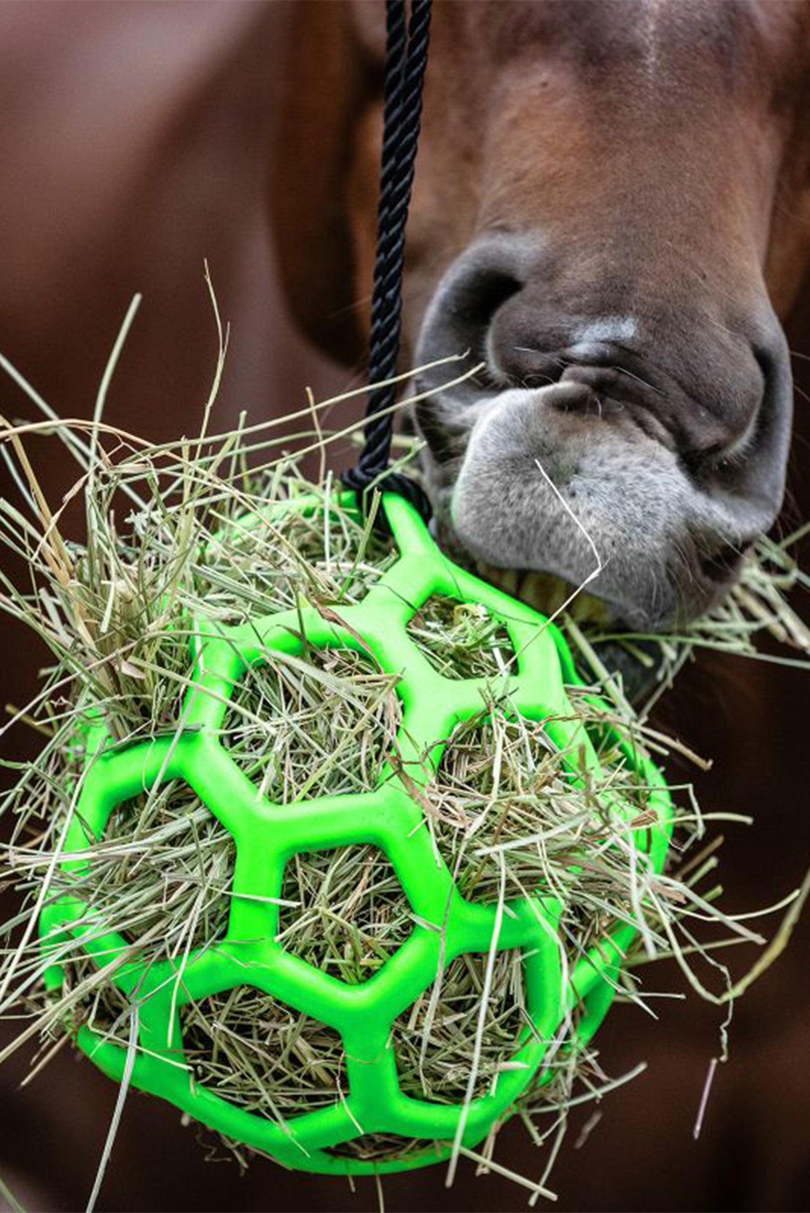 Waldhausen Szénabála Etetés & Itatás